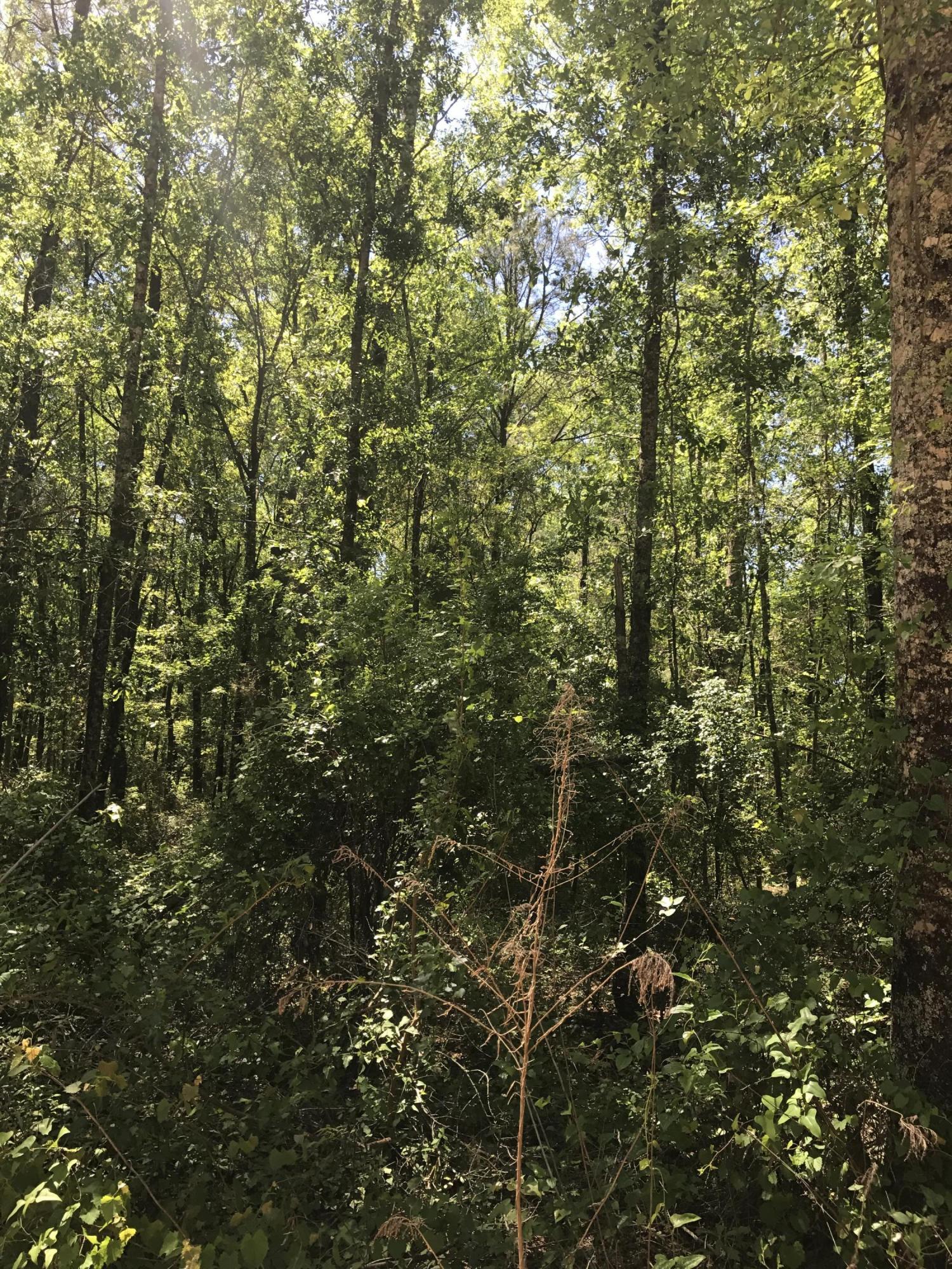 No Named Subdivision - Land