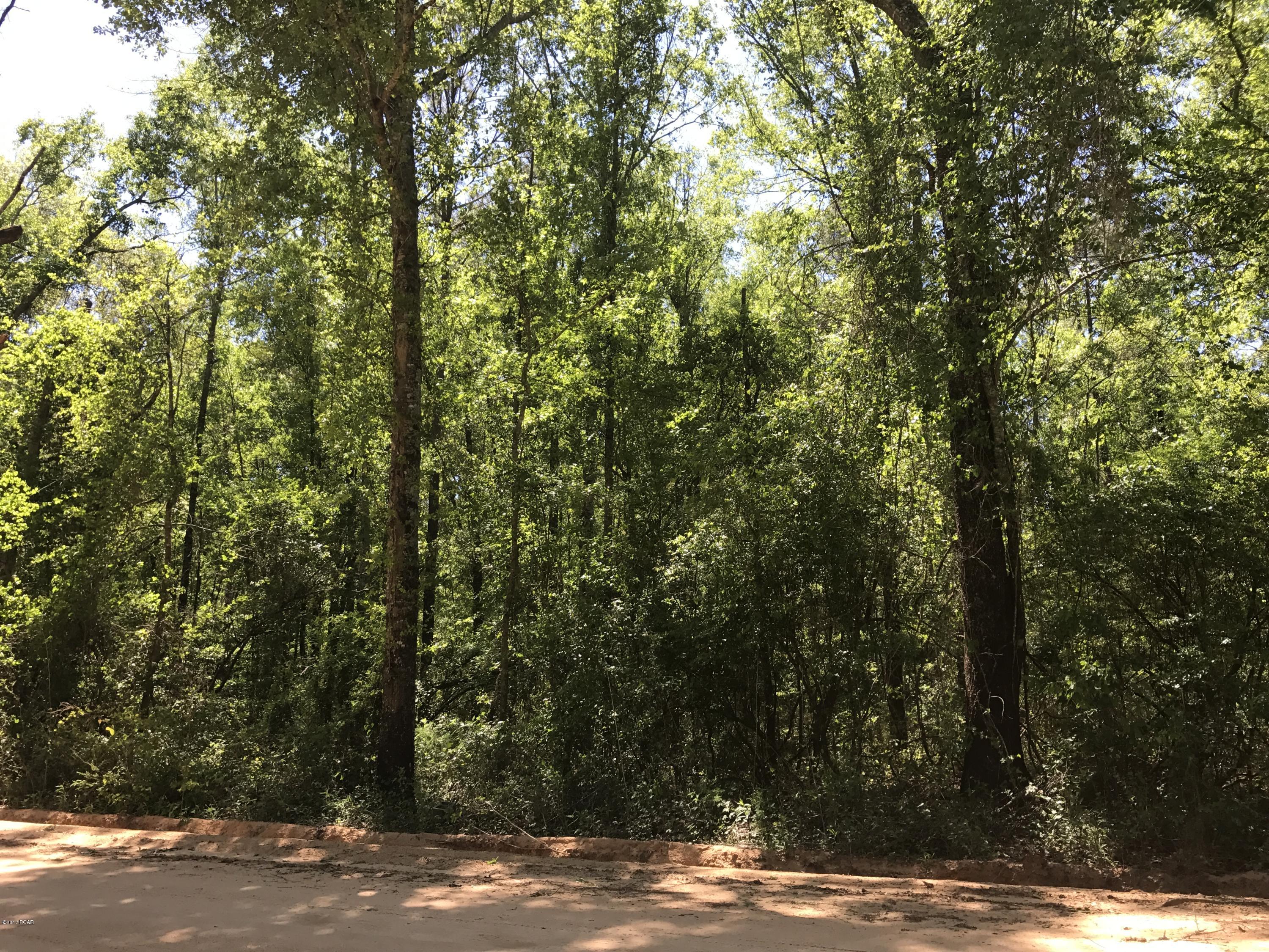 Price to Sell!!! 5.62 Acre lot just waiting for your Dream Home!  Conveniently located just minutes from Marianna and Cottondale.  Loaded with beautiful hard woods.  Drive by and take a look at what this property has to offer!!!!