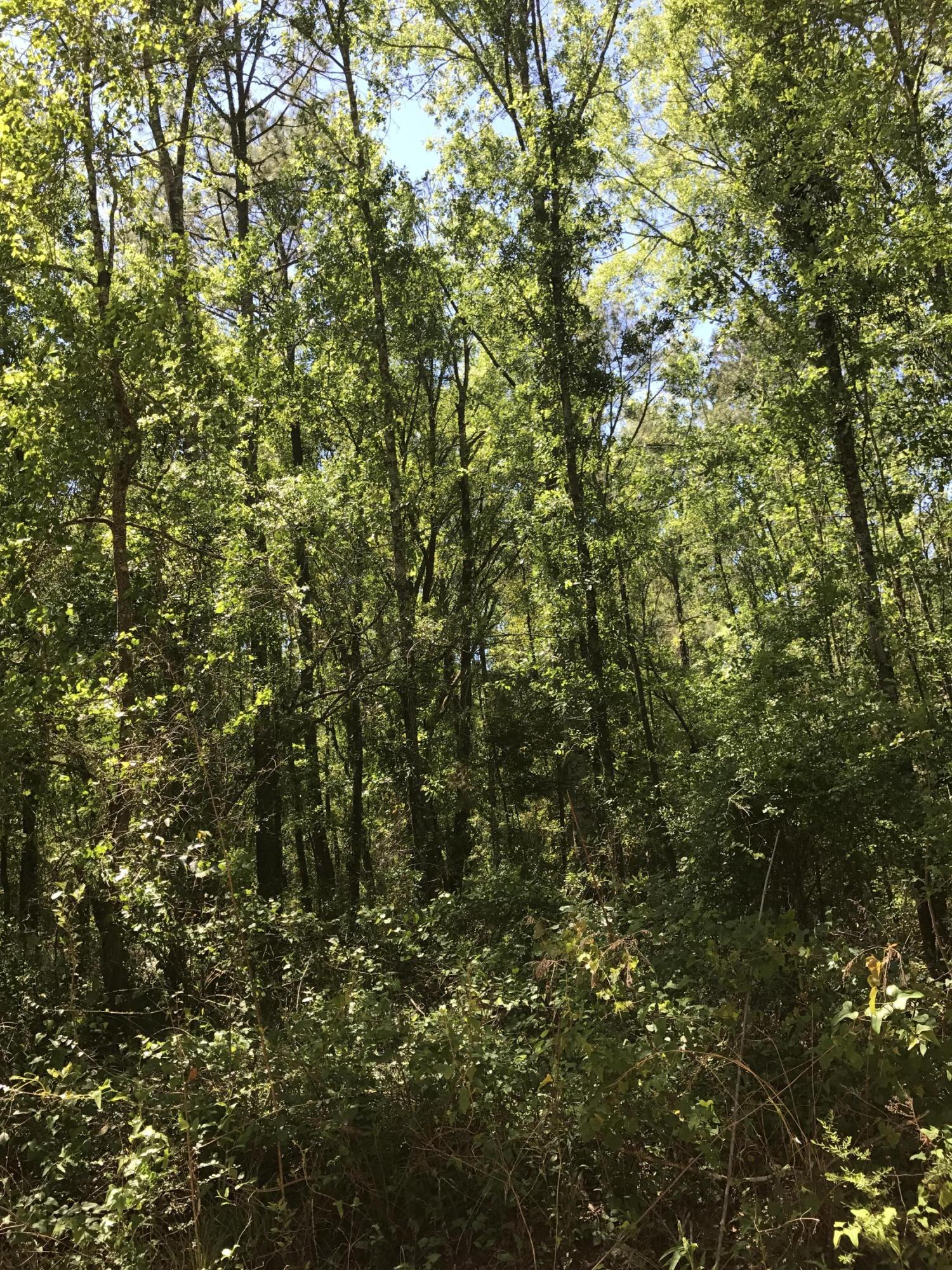 No Named Subdivision - Land
