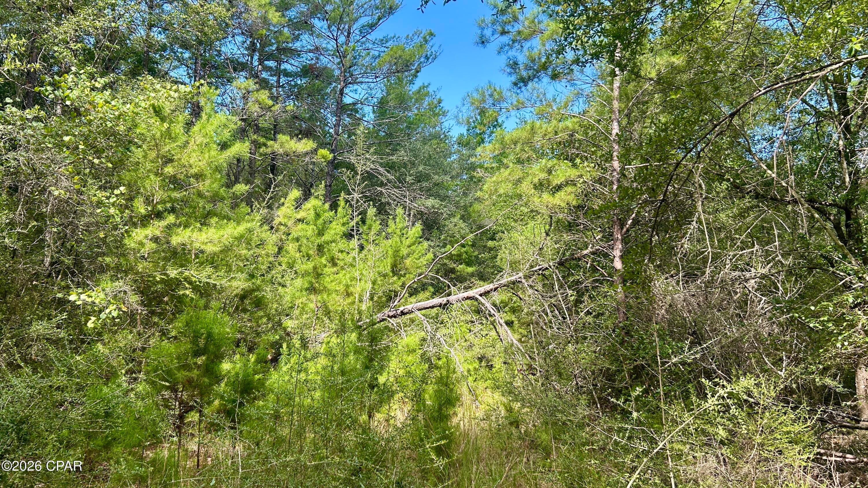 Other - Land