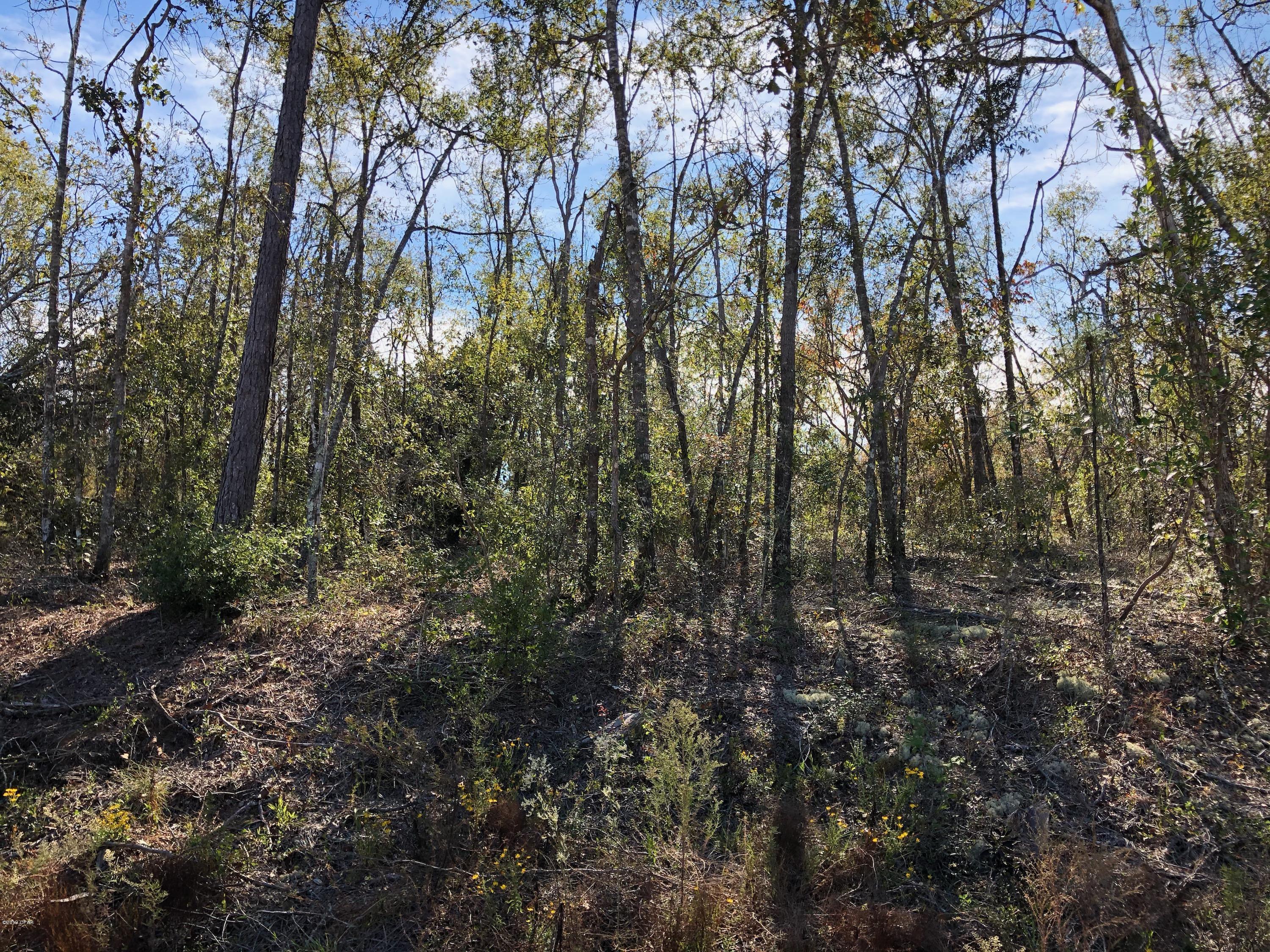 Compass Lake Hills Unit 5 - Land