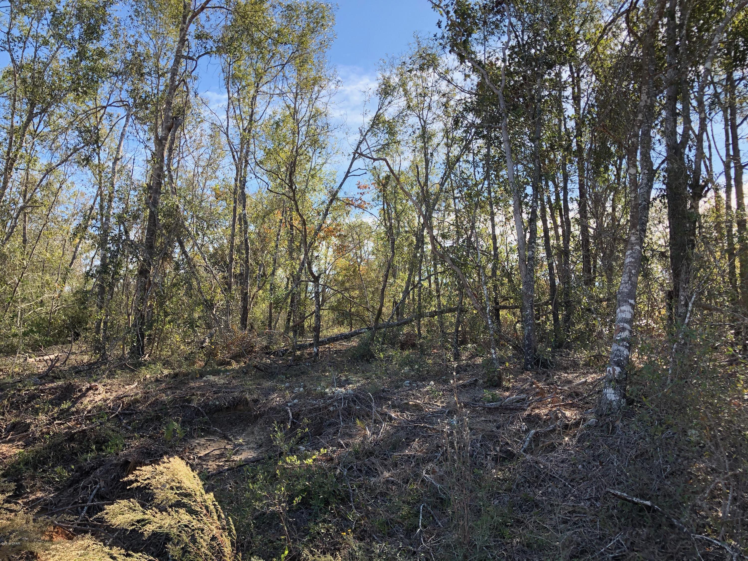 Nice high and dry  lot over looking a valley in the Compass Lake in the Hills Subd..  Make a beautiful Home site.  Wooded and not many trees down. Within 40 min to Panama City Mall and Restaurants.

Close to I-10 and Marianna.  Ownership come's with all the amenities of CLH including swimming pool use, rental cabins and boat ramps and more.