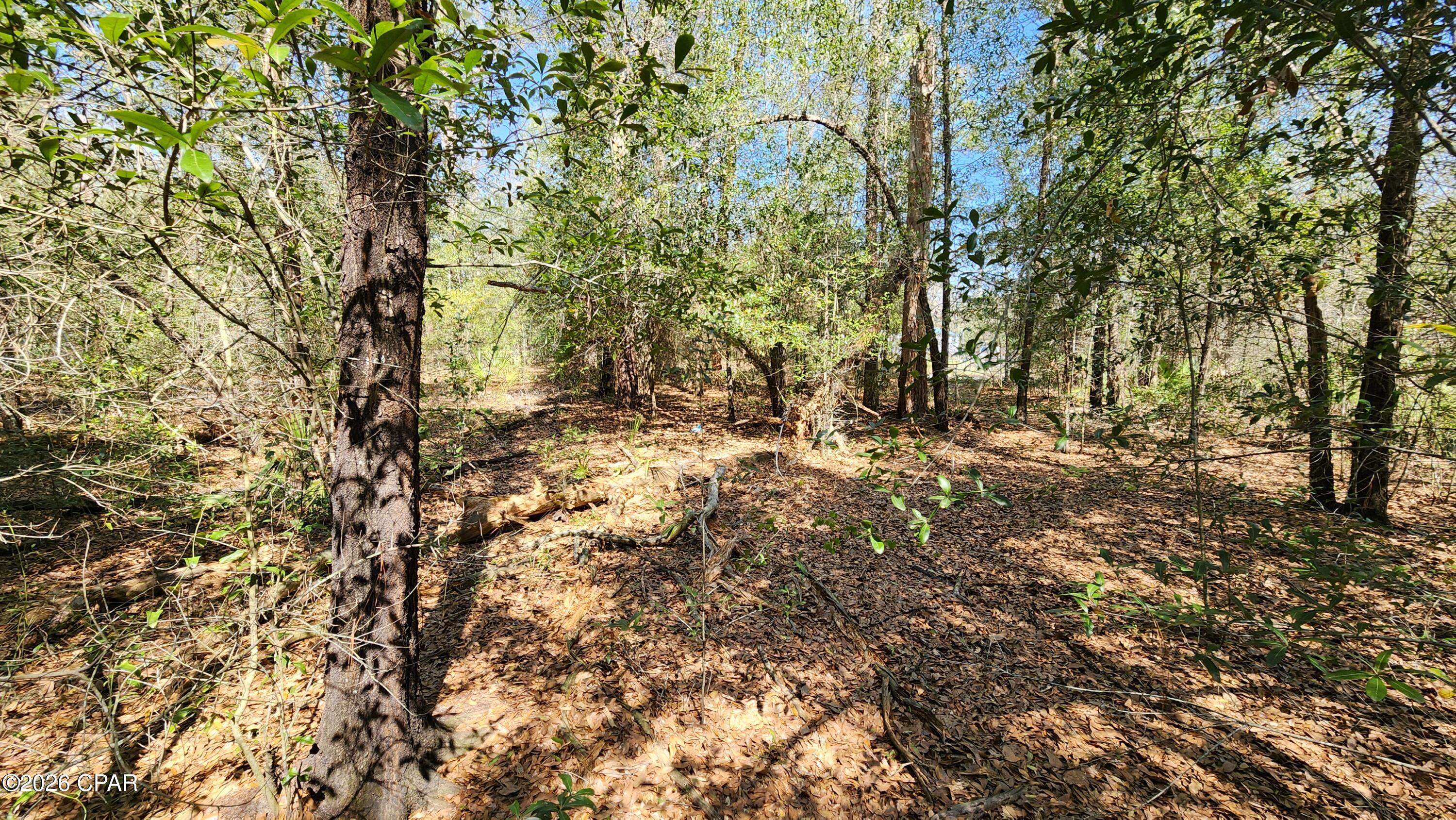 Pinecrest - Land