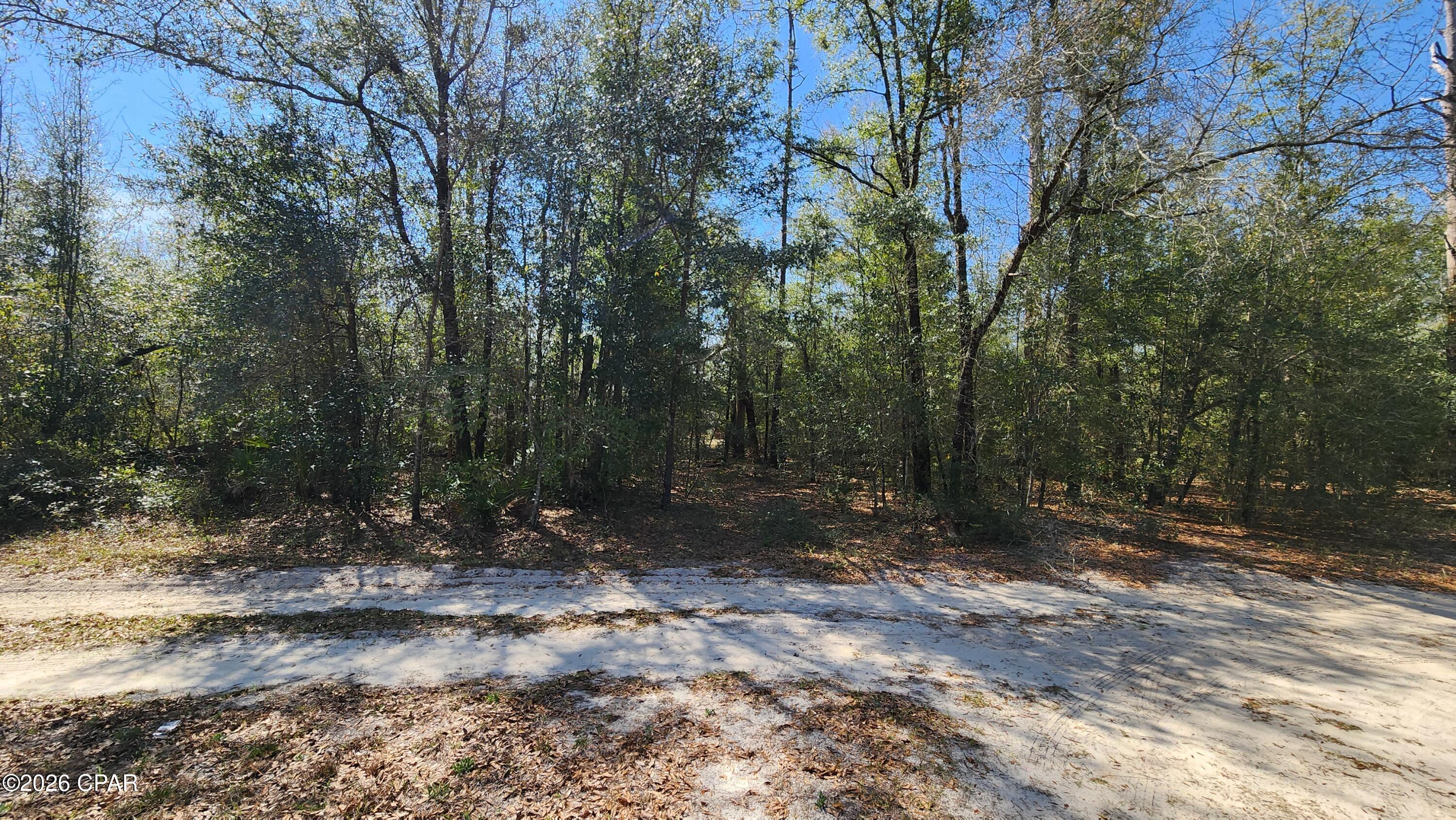 Pinecrest - Land
