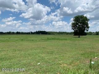 Tired of the hustle and bustle of city life?   Look no further as this 127 acres of desirable country living can be yours.  There are numerous spots for your perfect home site and room to roam, farm or build additional houses.  Graceville, Fl is located in a great location with Dothan, AL only 30 minutes away for shopping, events and dining.  Enjoy a weekend away at Panama City Beach, FL only one and half hour away.   Call for all parcels IDs to be included.  1391 sq ft house with septic and well included in this rare find of property.
