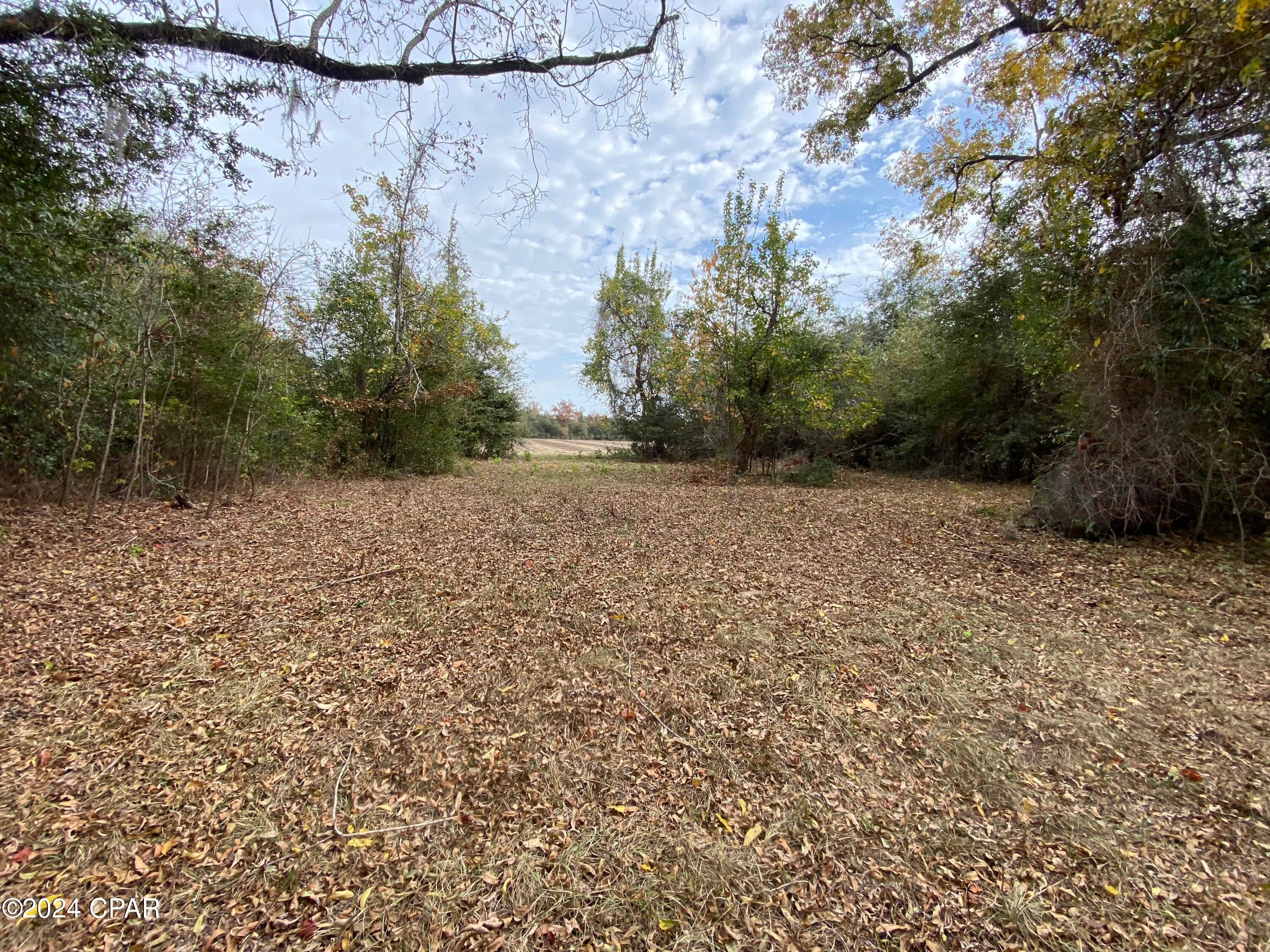 Grand Ridge - Land