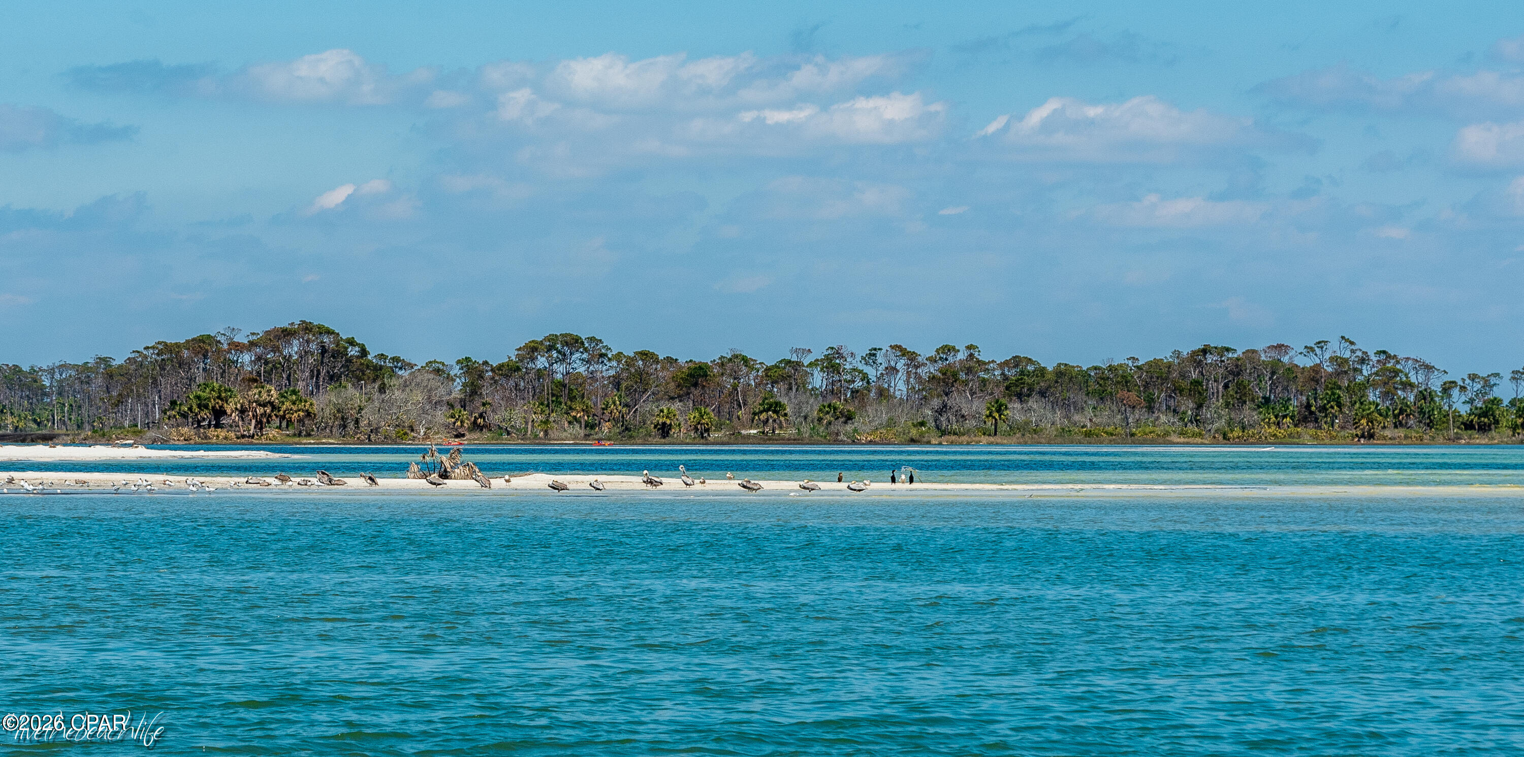 Cape Breezes - Residential
