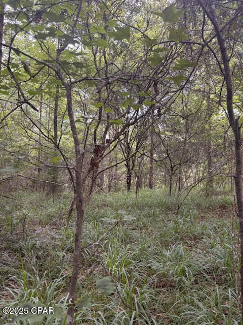 Other - Land
