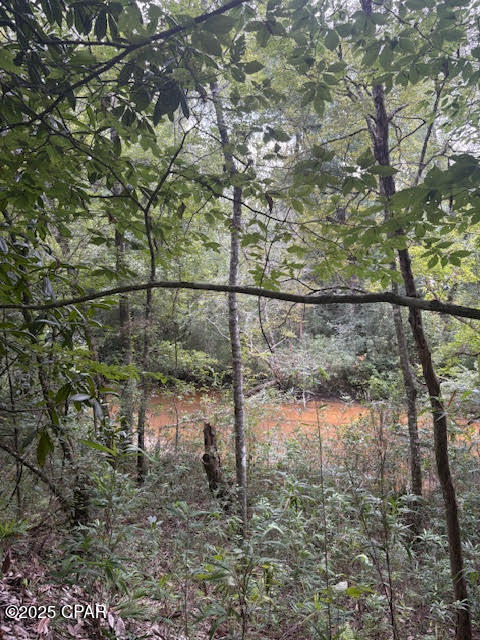 Other - Land