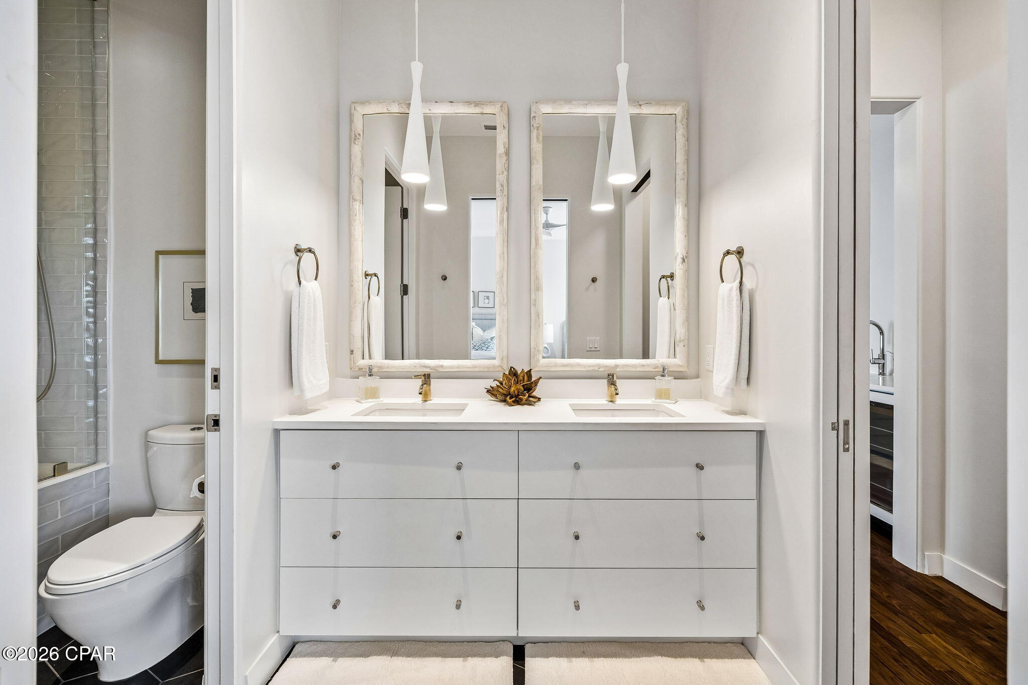 Inlet Beach - Residential