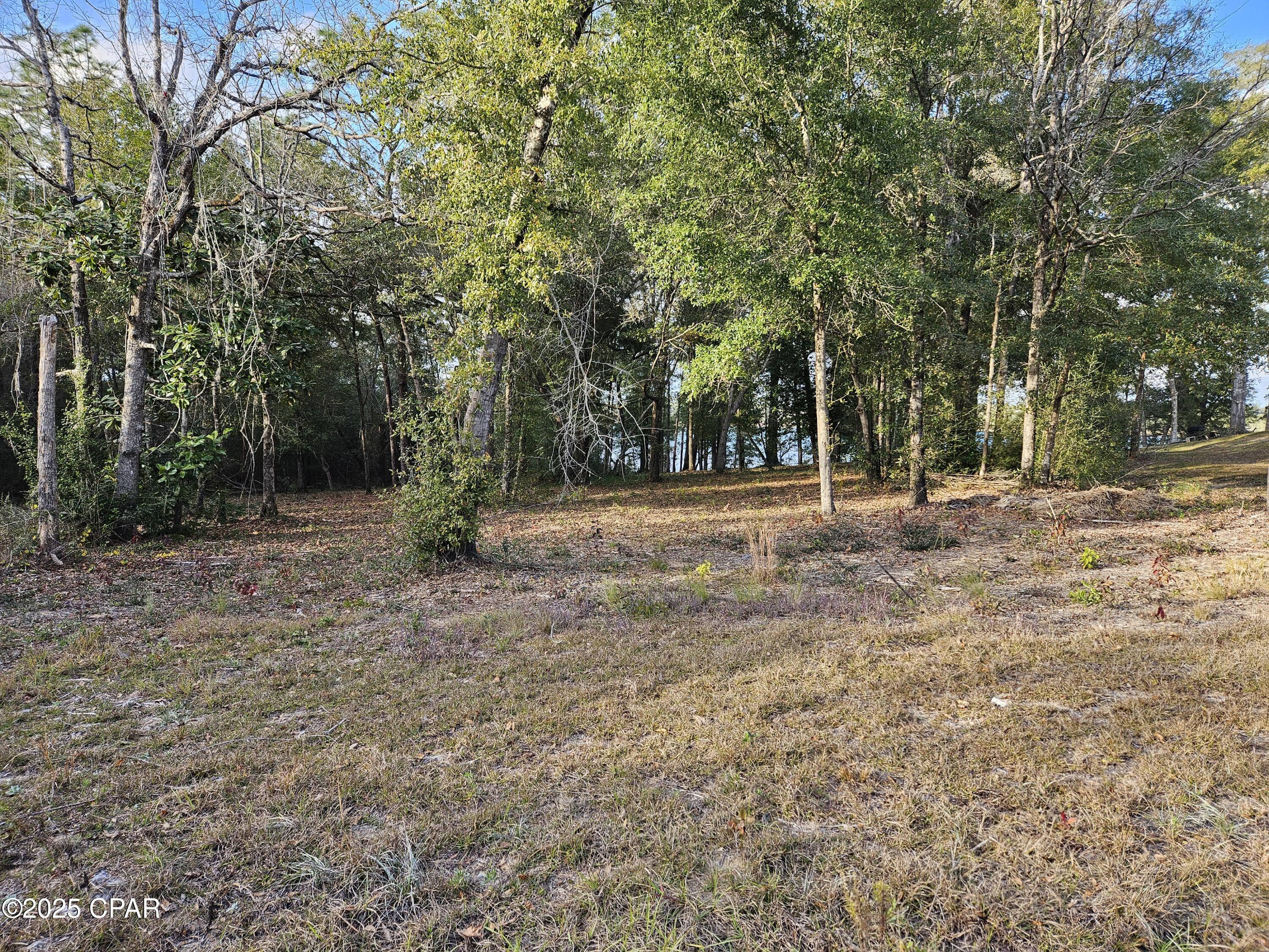 Leisure Lakes 1st Add - Land
