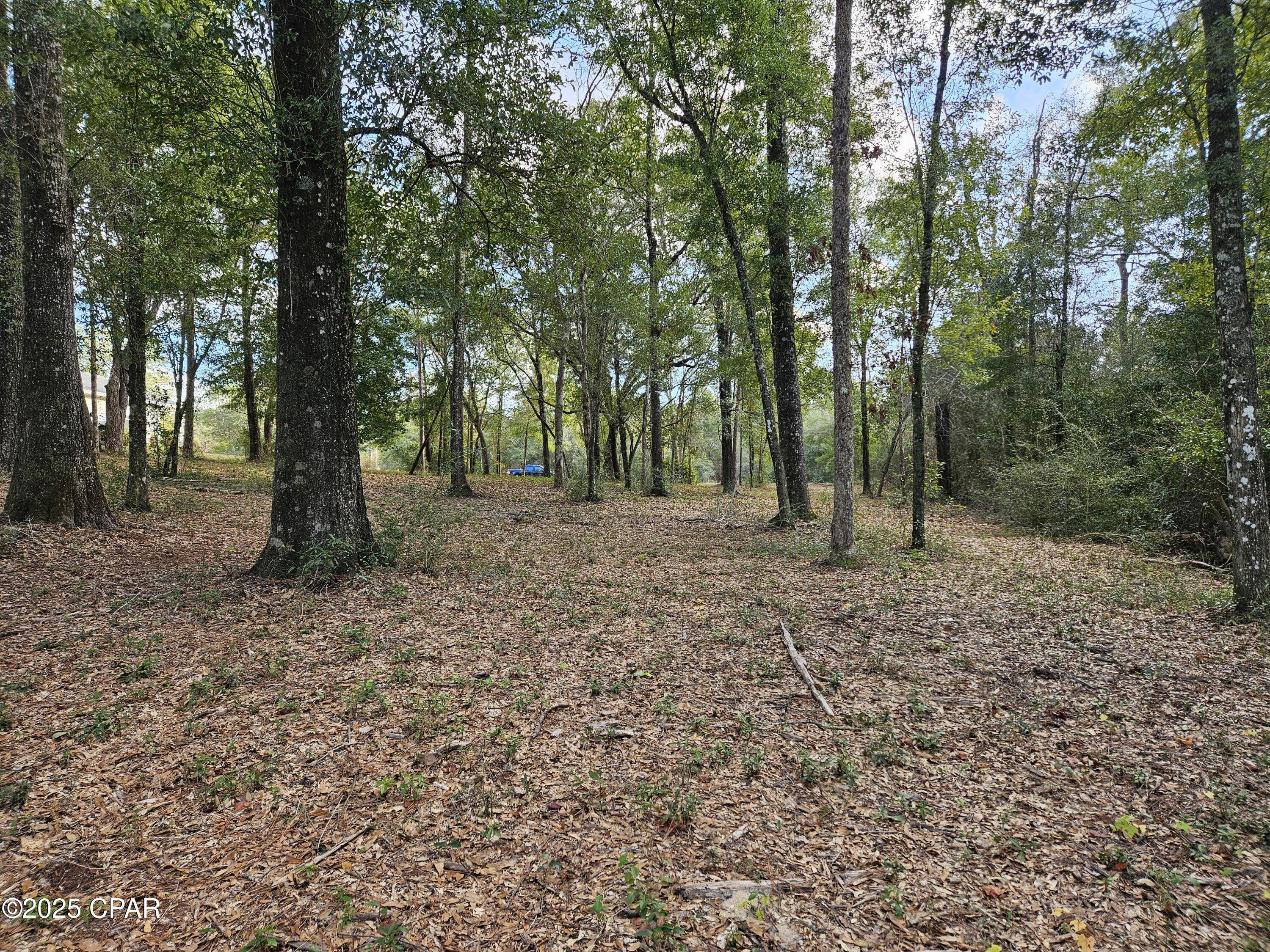 Leisure Lakes 1st Add - Land