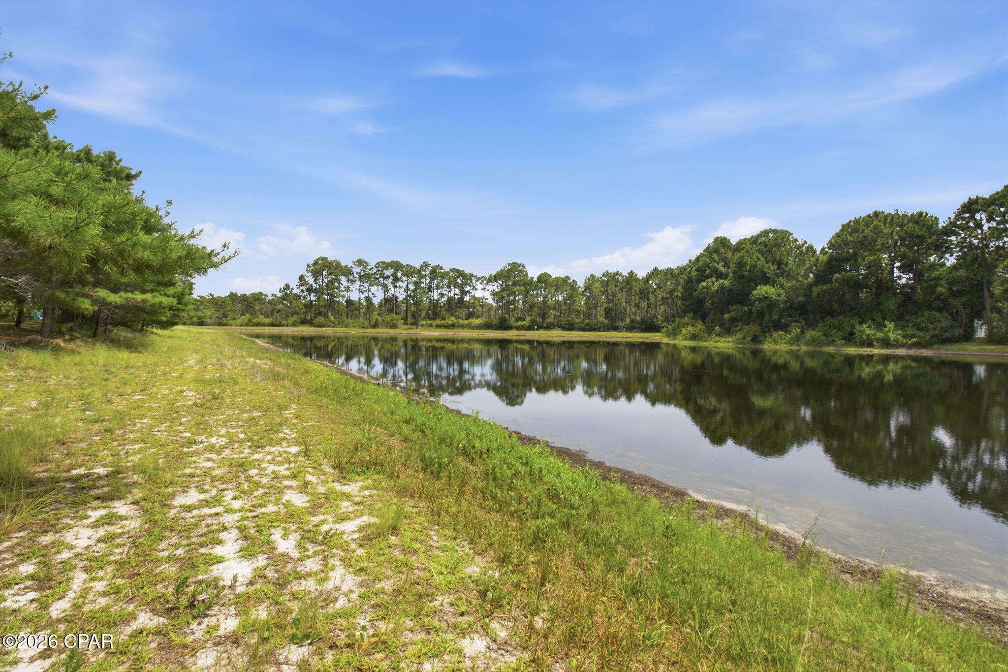 Palmetto Trace Phase 2 - Residential