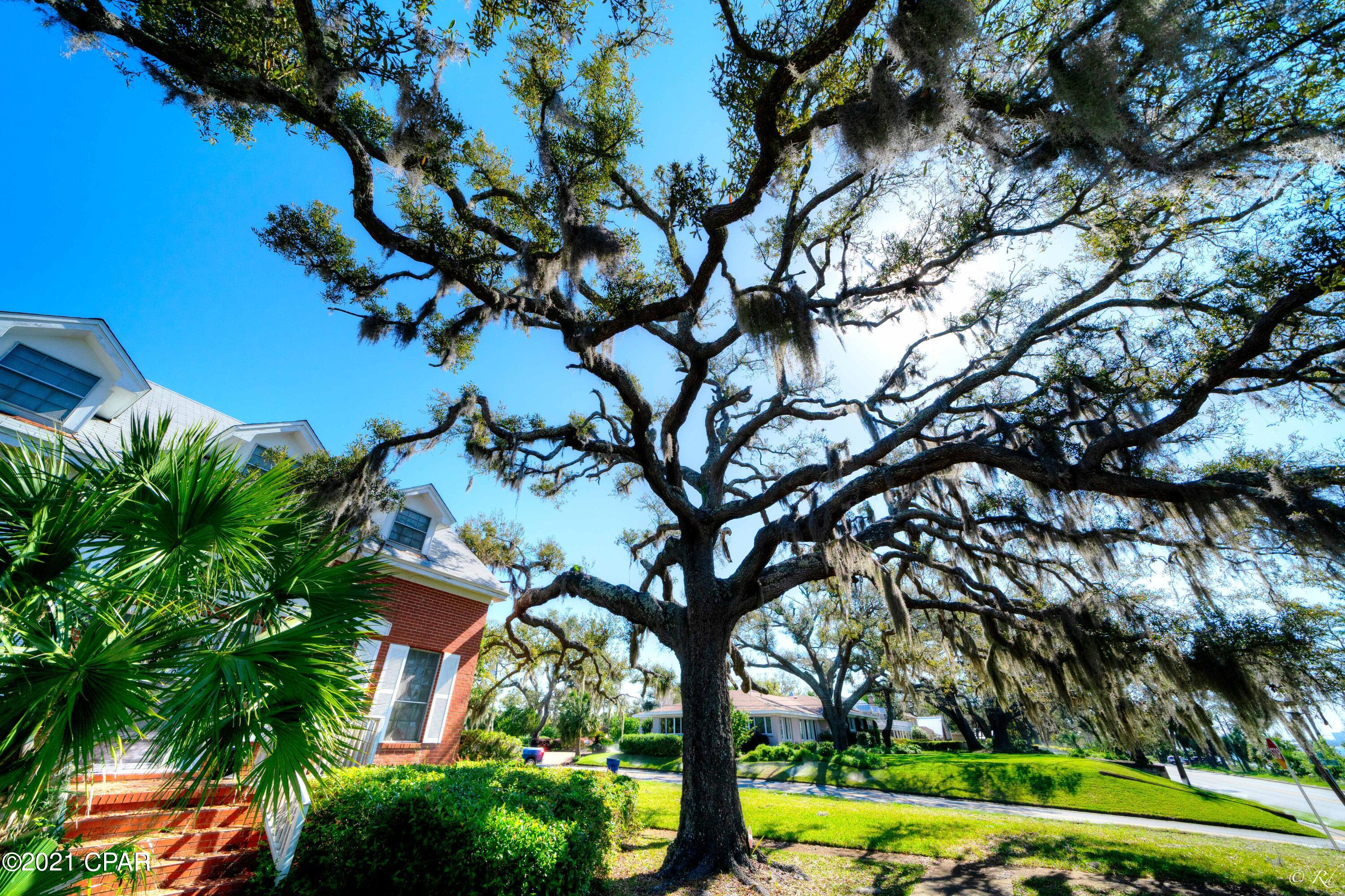 Old Town Plat - Residential