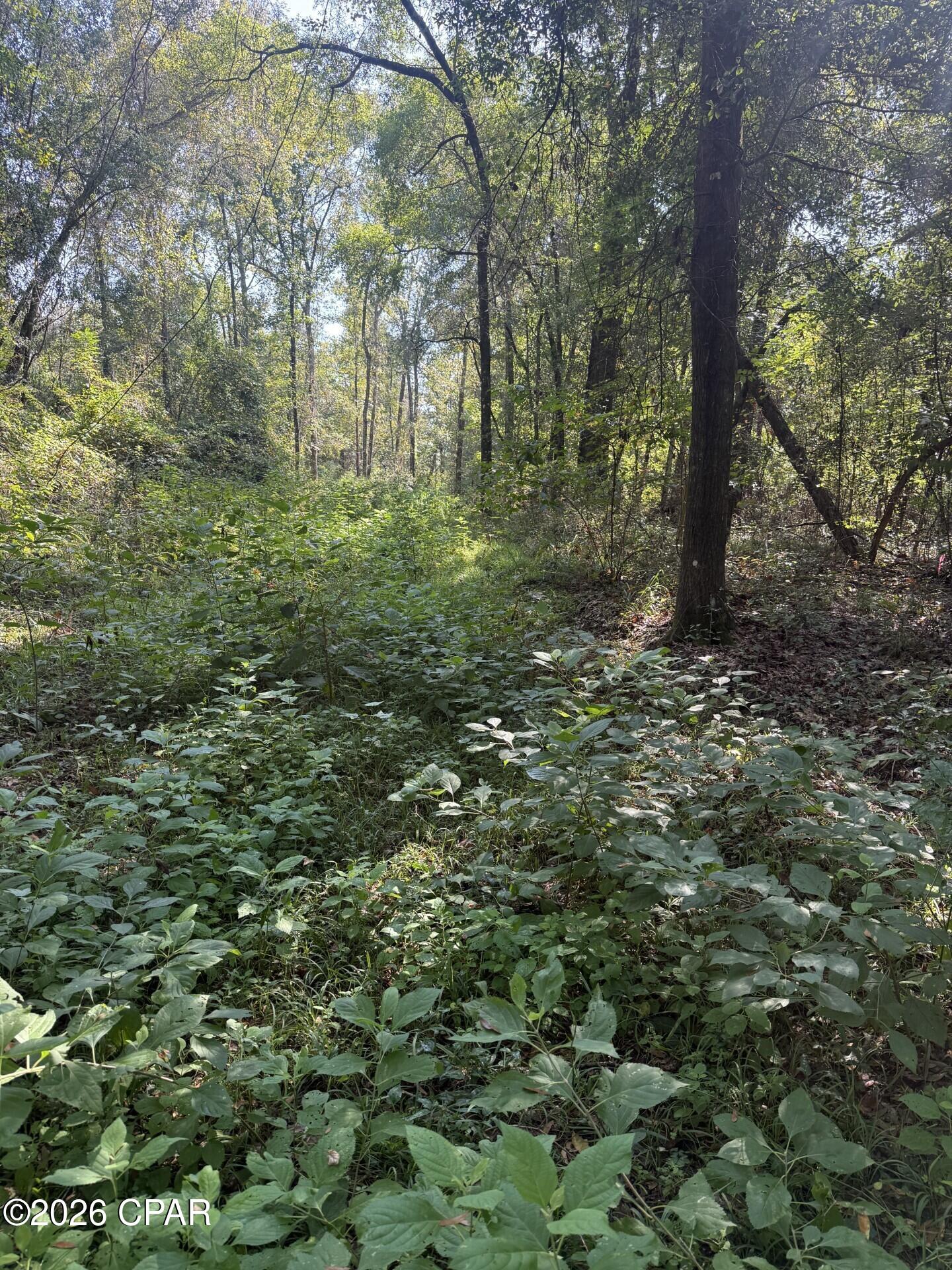 [No Recorded Subdiv] - Land