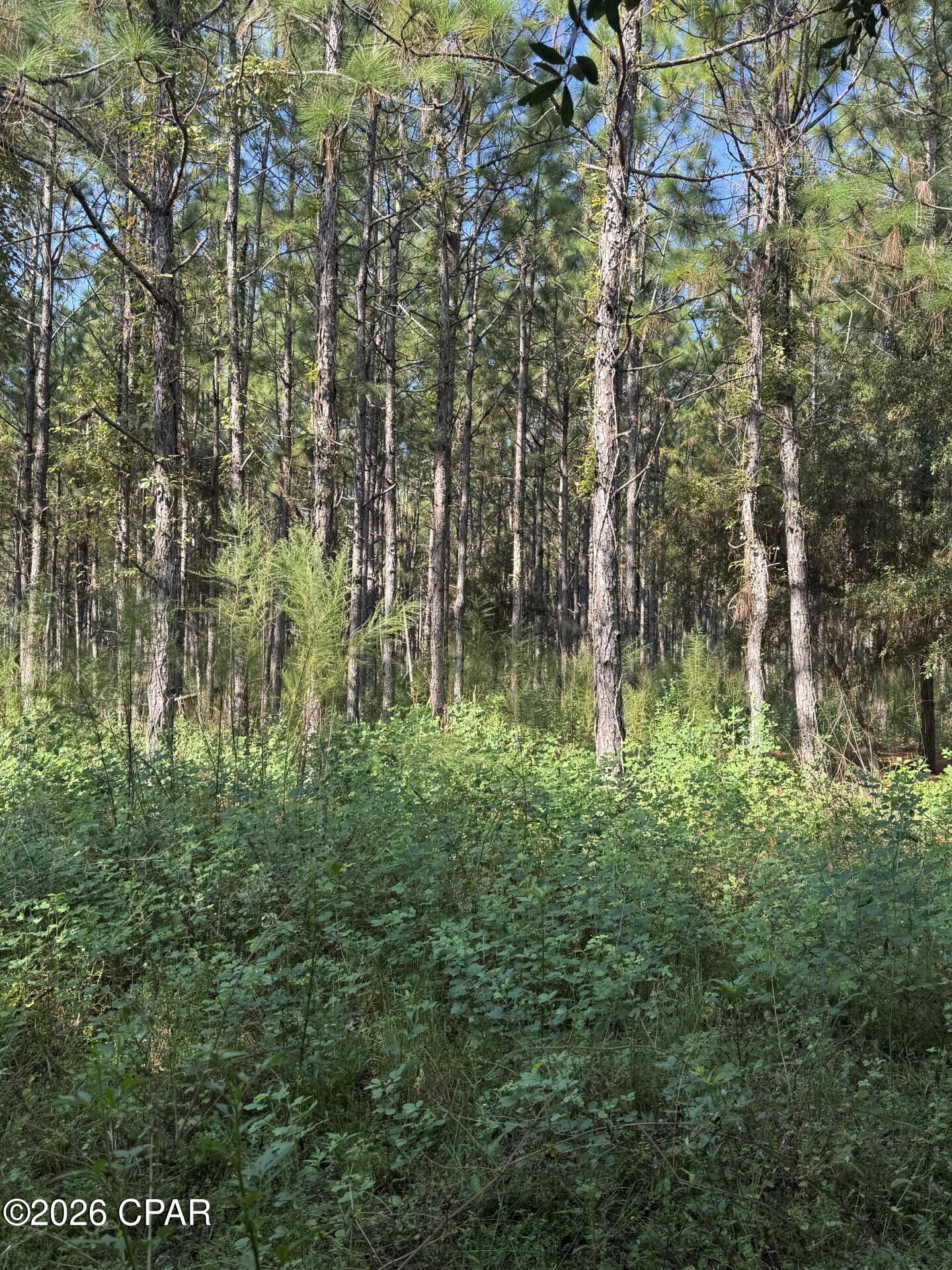 [No Recorded Subdiv] - Land