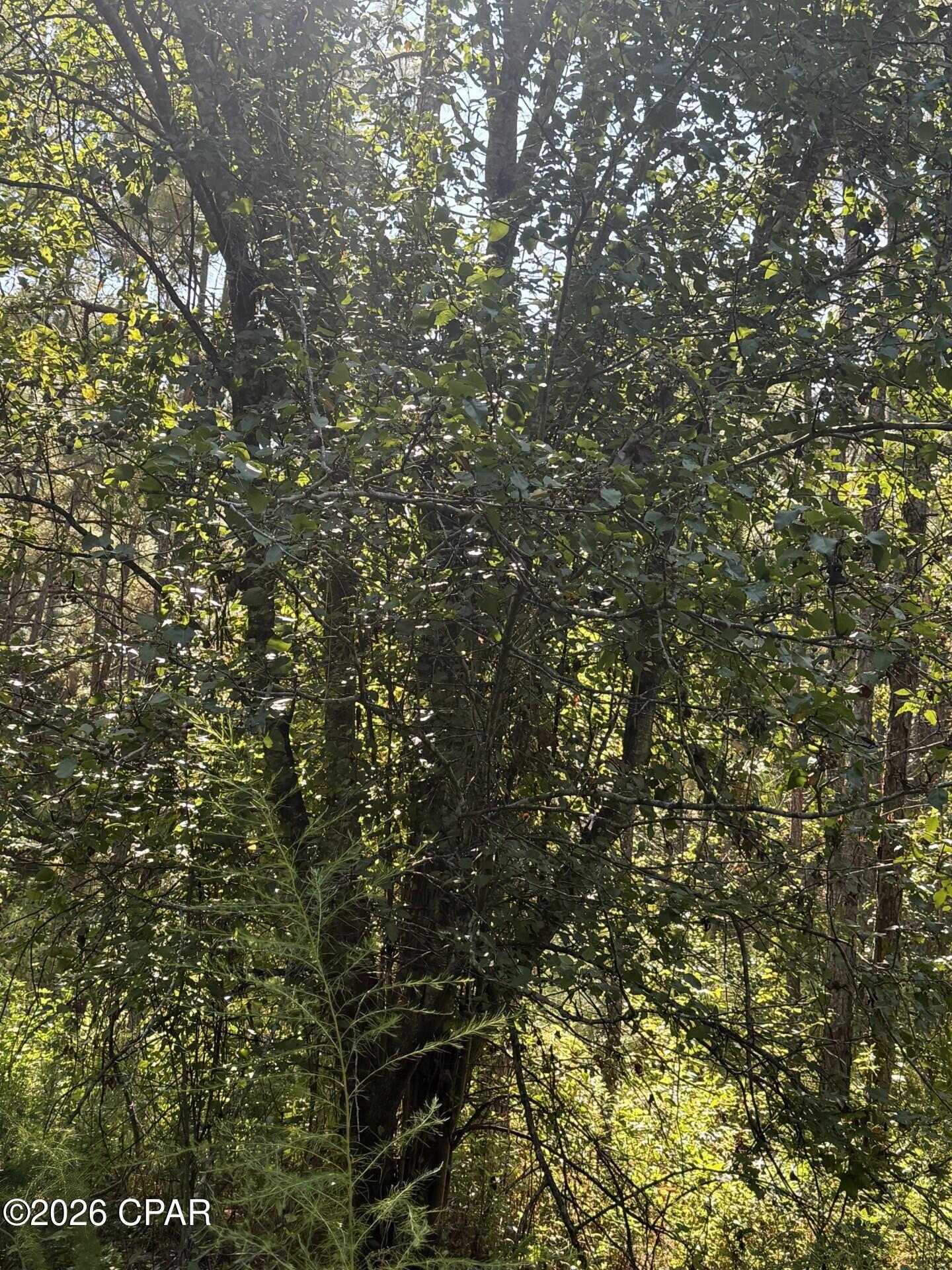 [No Recorded Subdiv] - Land