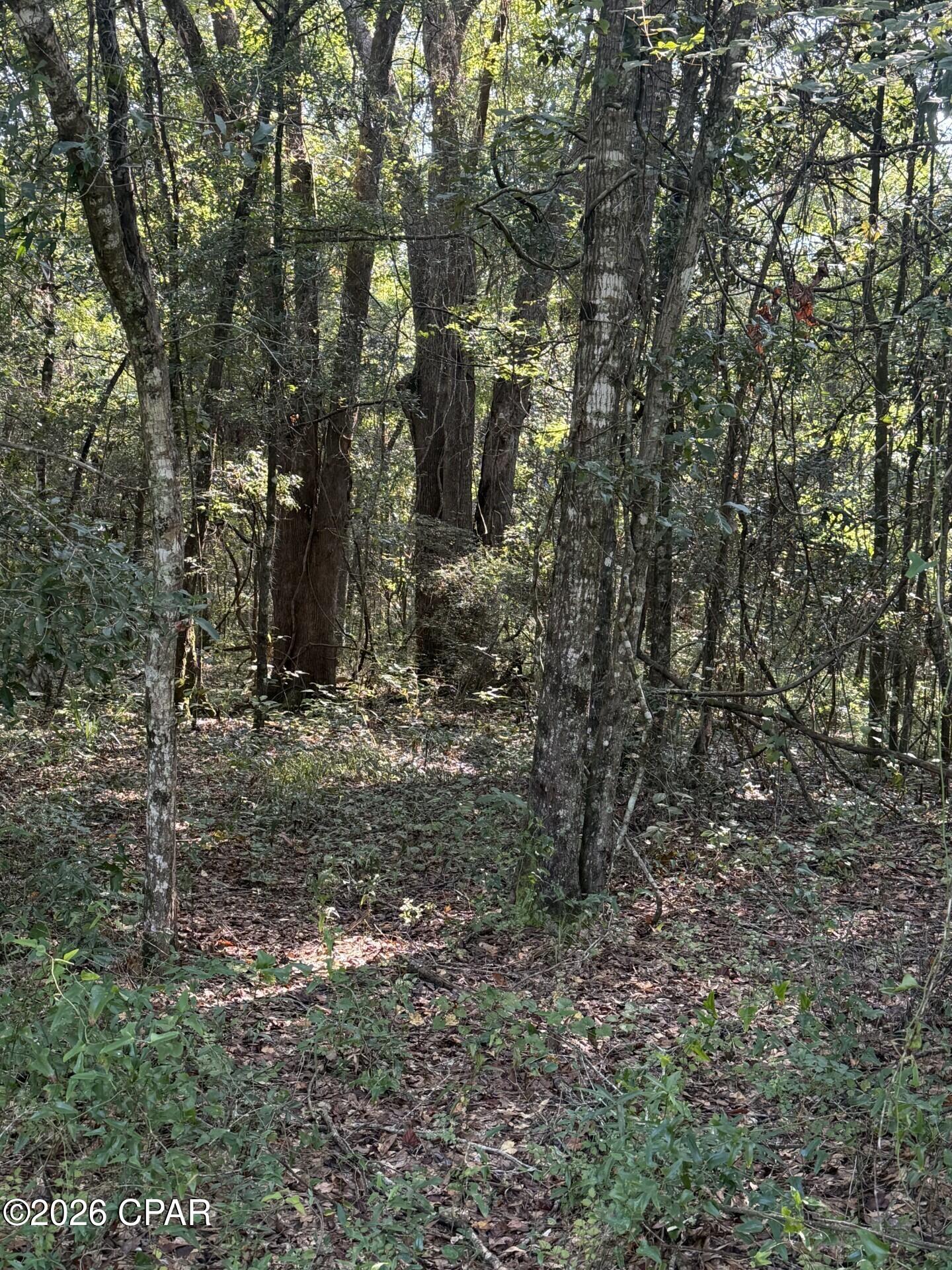 [No Recorded Subdiv] - Land
