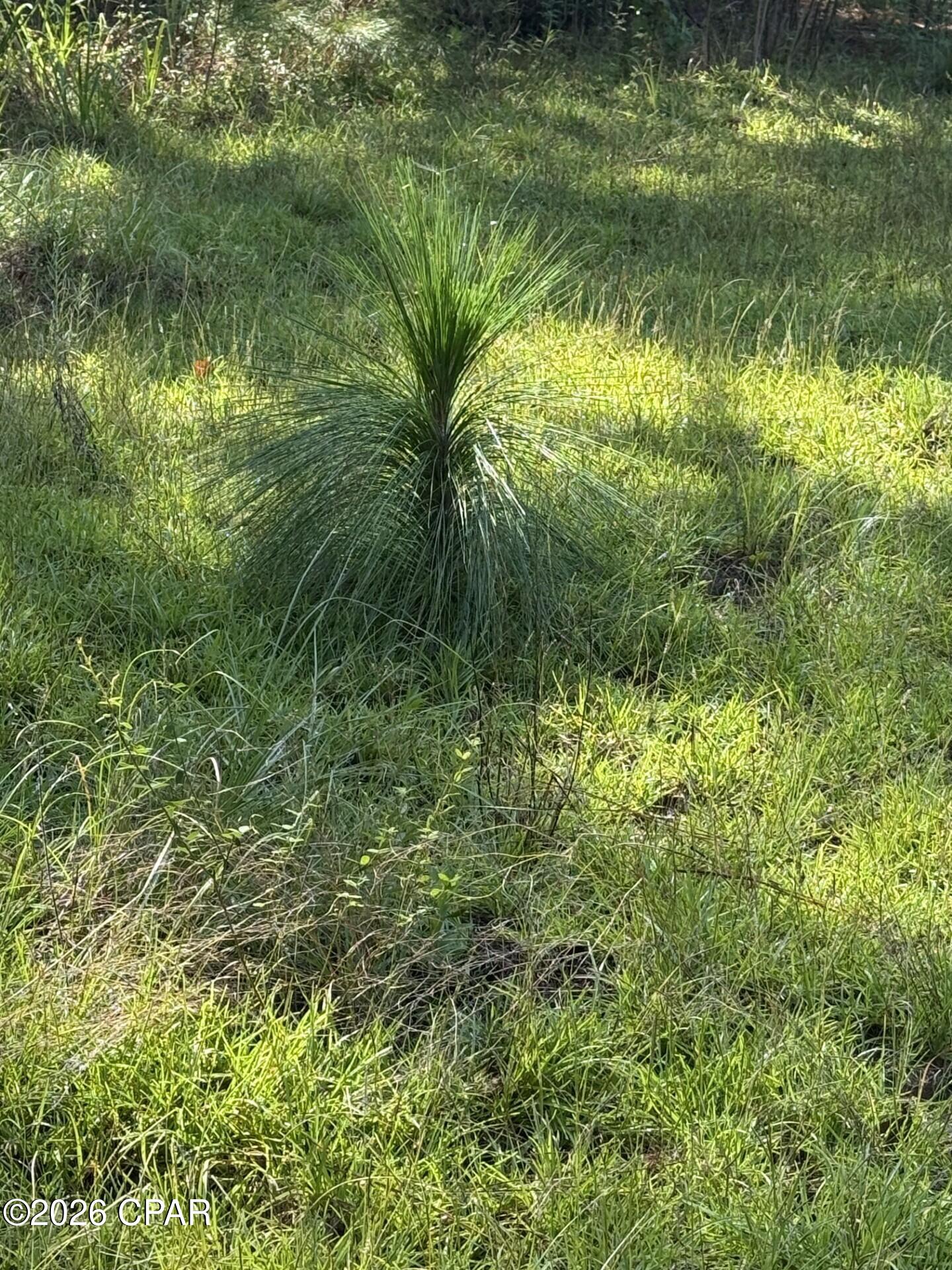[No Recorded Subdiv] - Land