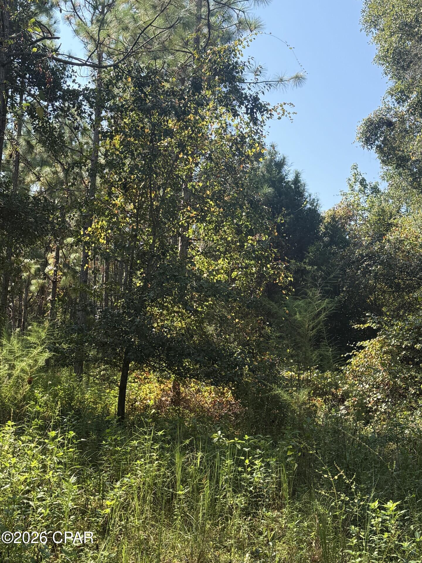 [No Recorded Subdiv] - Land