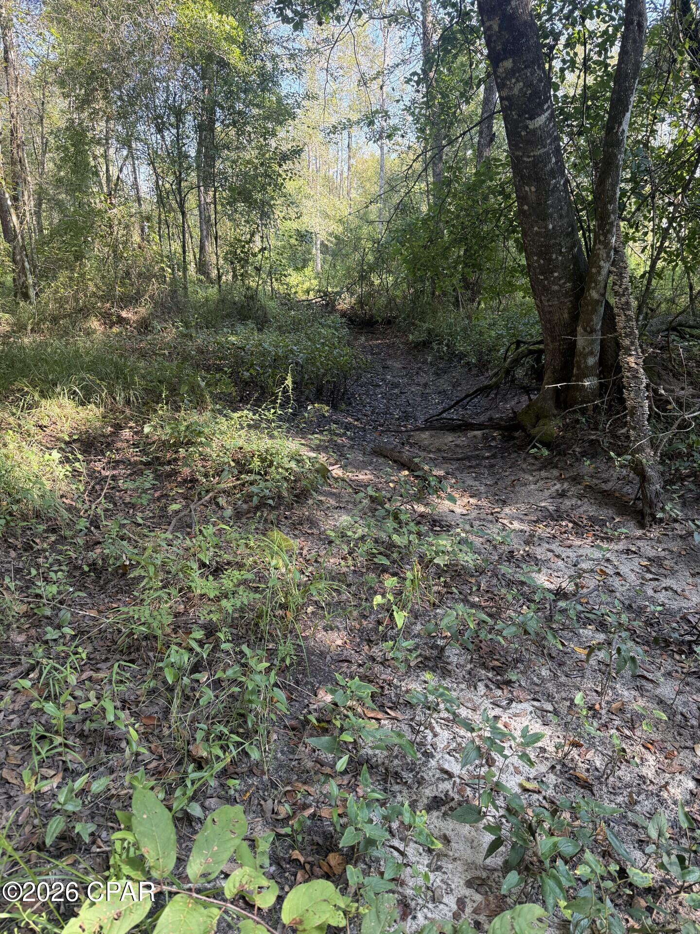 [No Recorded Subdiv] - Land