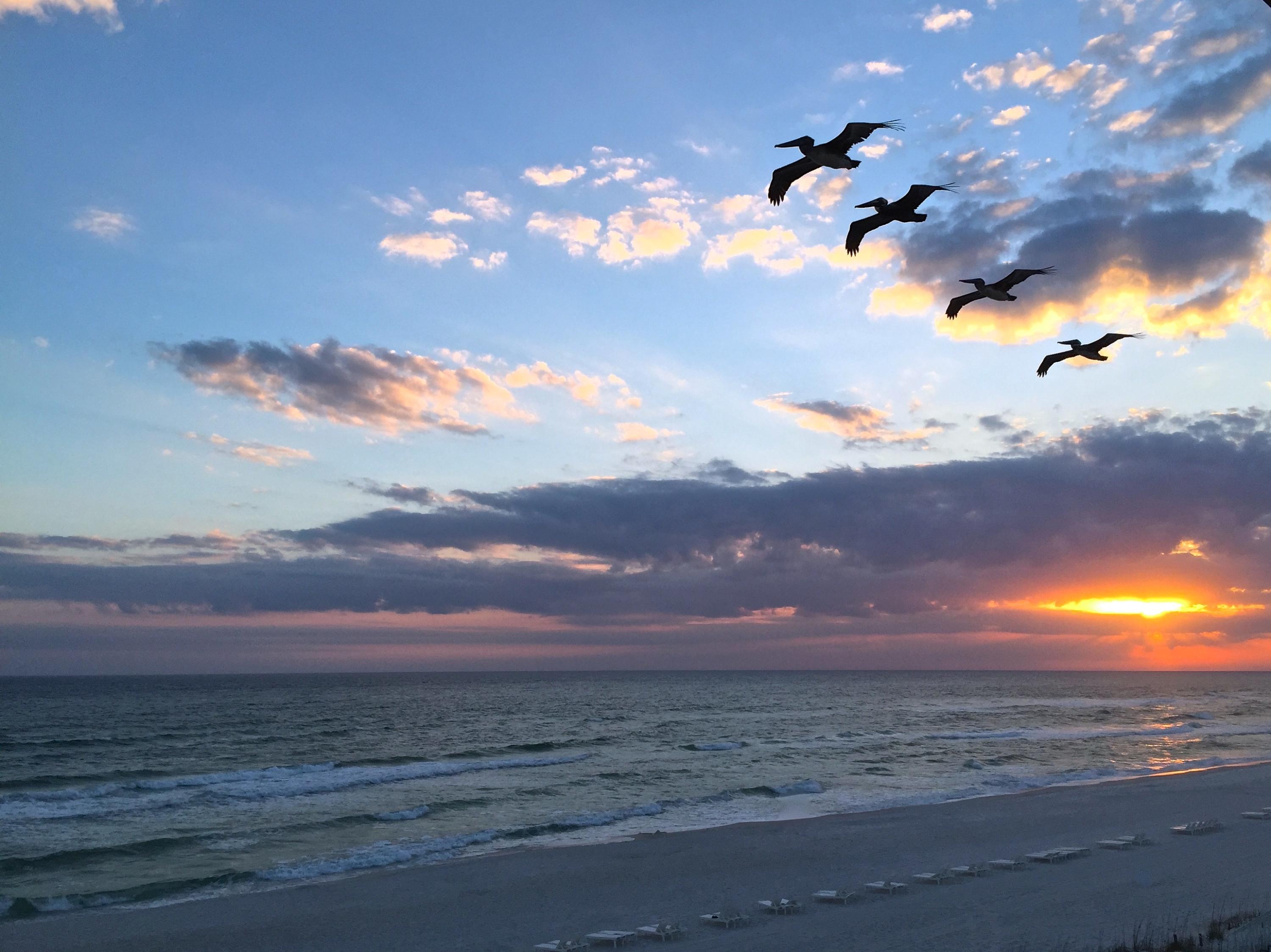 Carillon Beach - Residential