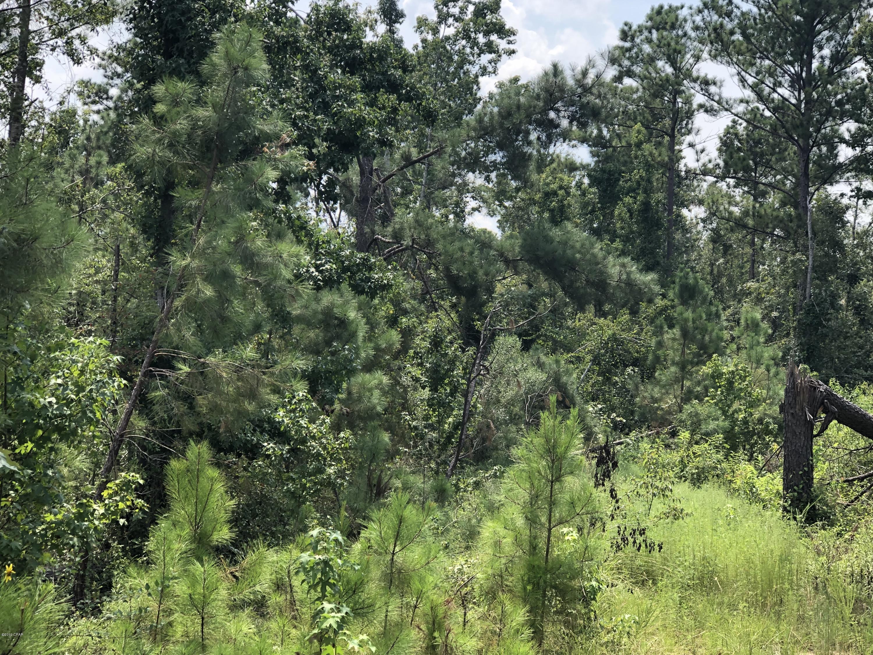 CURRENTLY UNDER CONTRACT, SELLER ACCEPTING BACKUP OFFERS,  Are you ready to get away from it all?  Here's your opportunity to have 10 acres and your own waterfront on a private pond all very close to Lake Seminole. Highway frontage on River Road.  Pick your home site today.