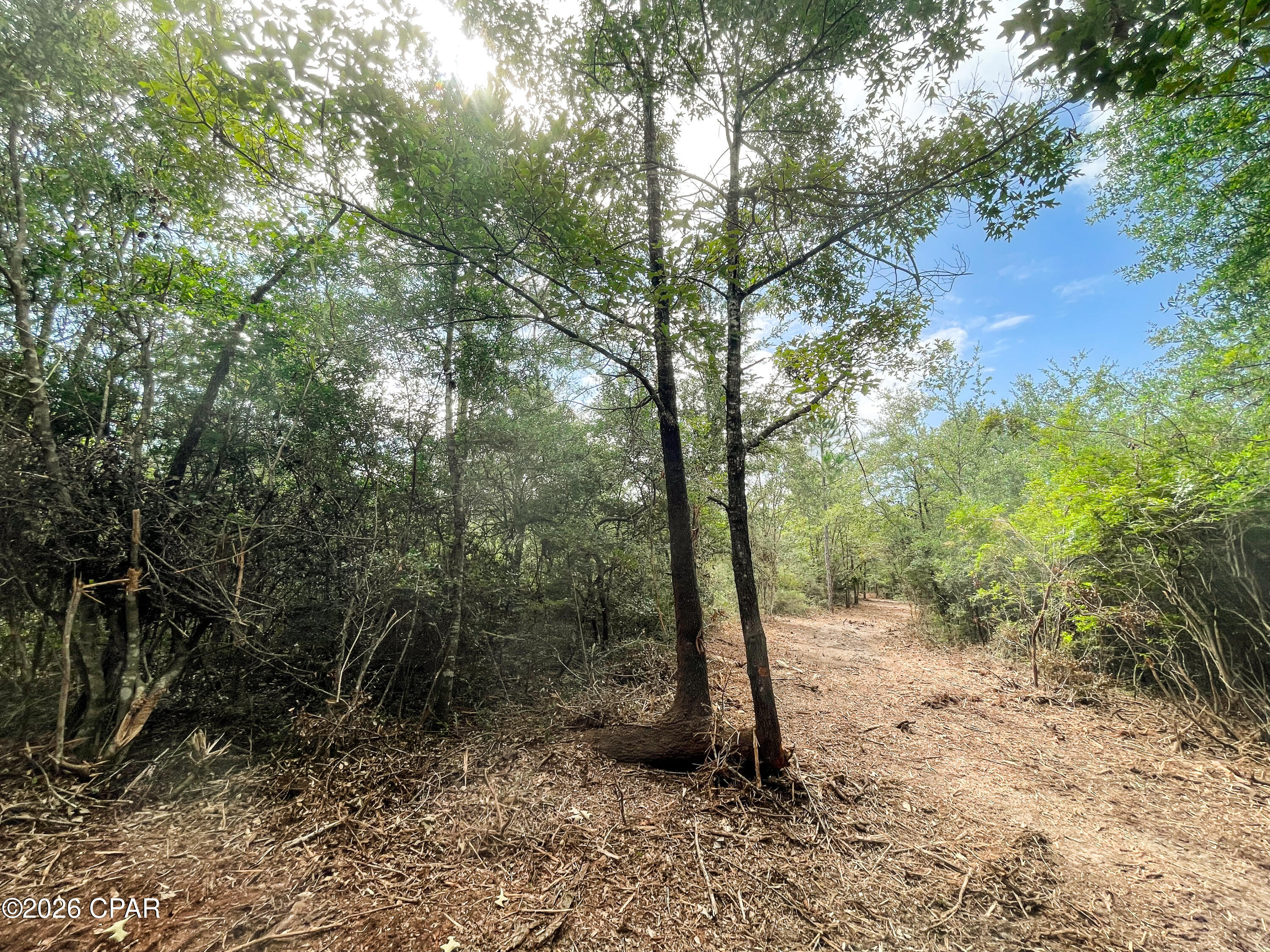 Pine Ridge Estates - Land