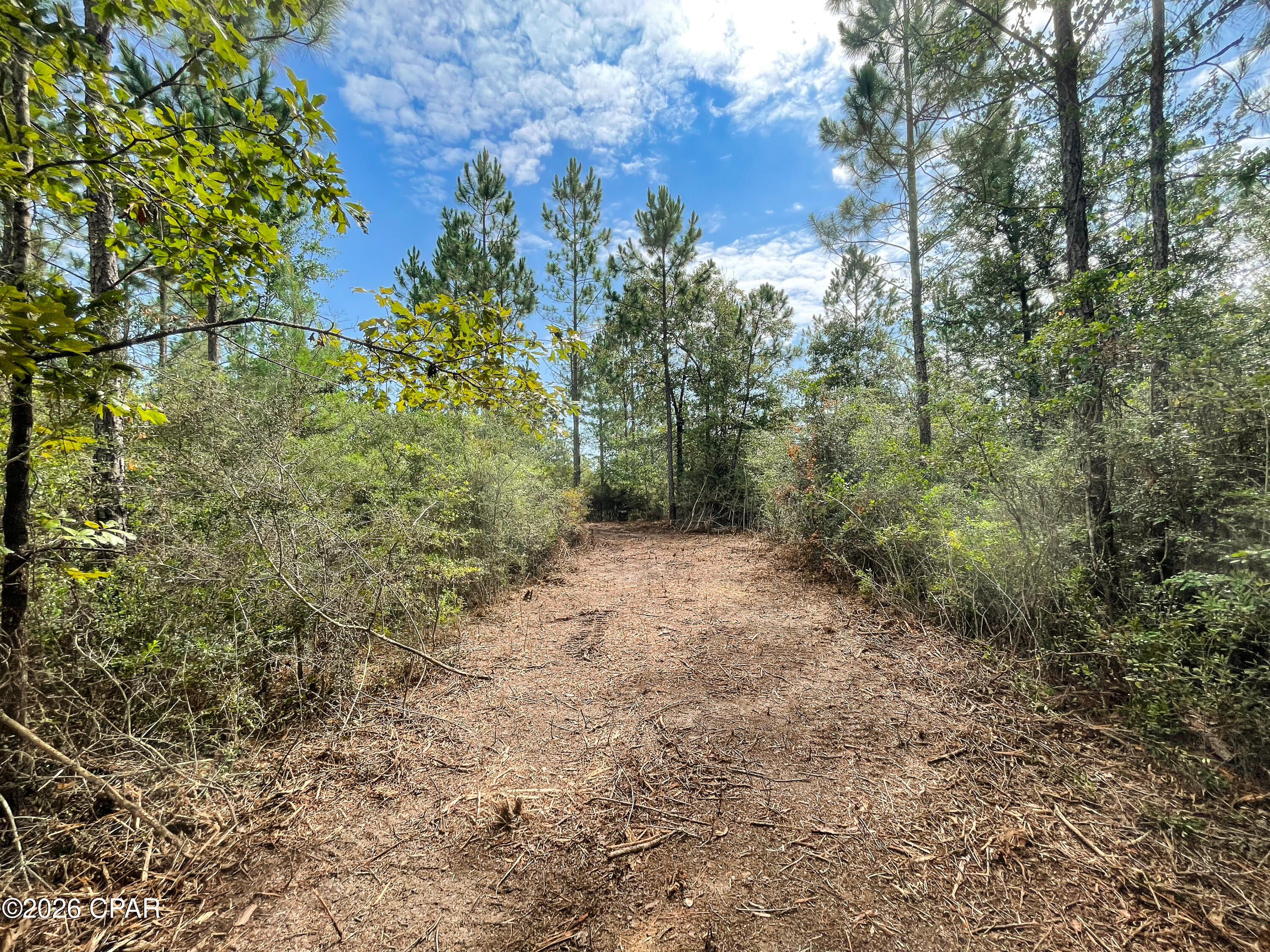 Pine Ridge Estates - Land
