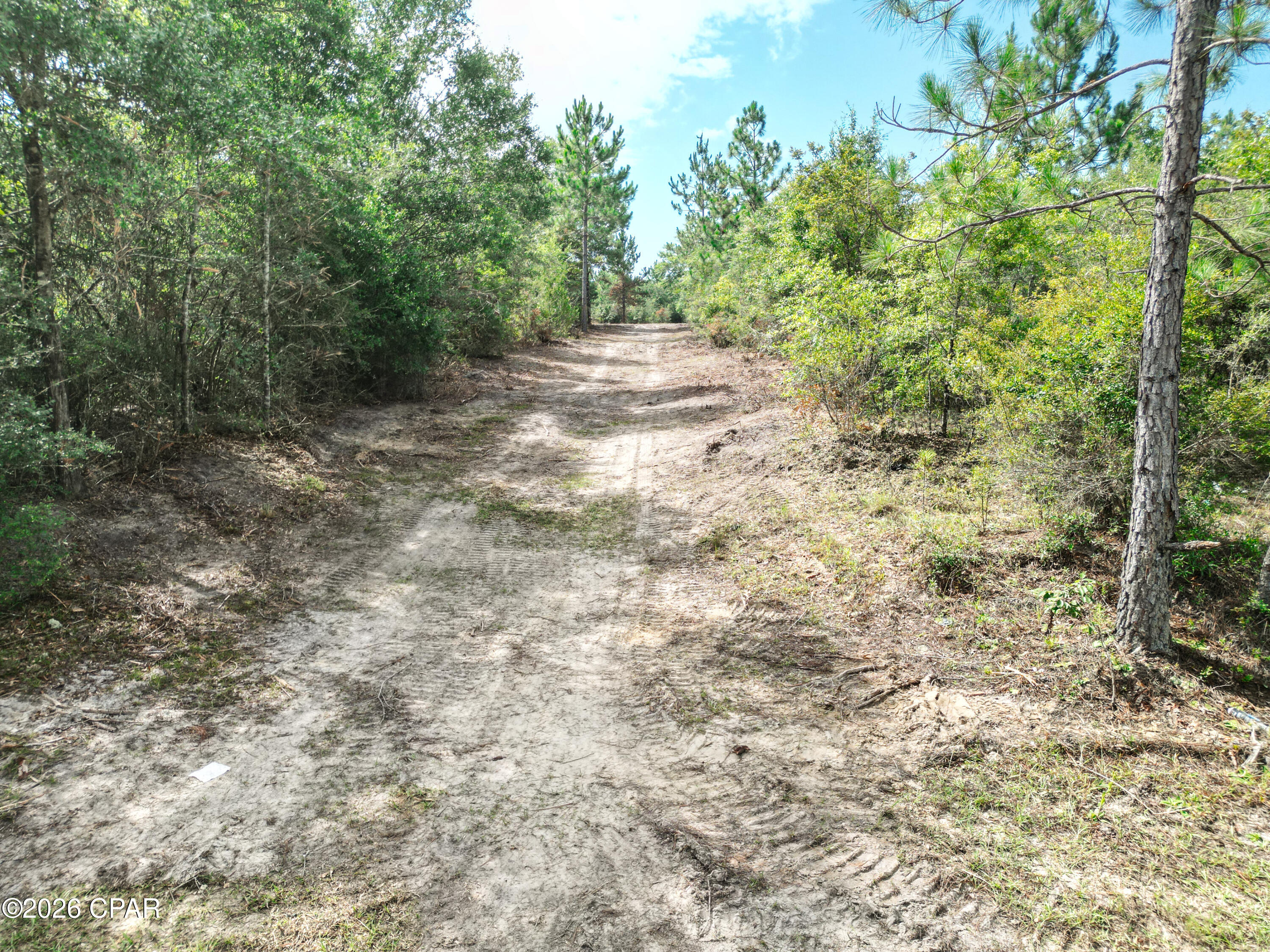 Pine Ridge Estates - Land
