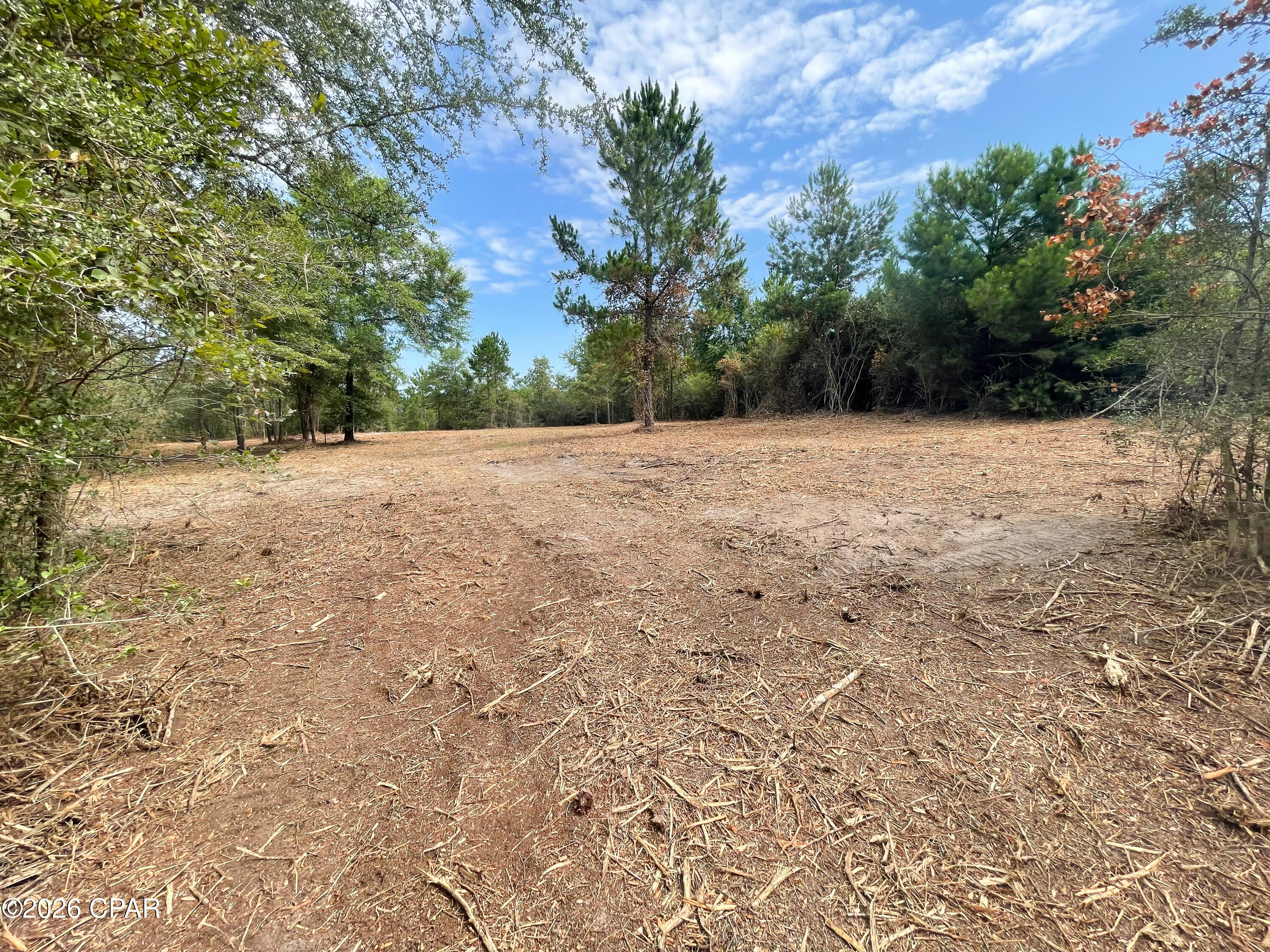 Pine Ridge Estates - Land