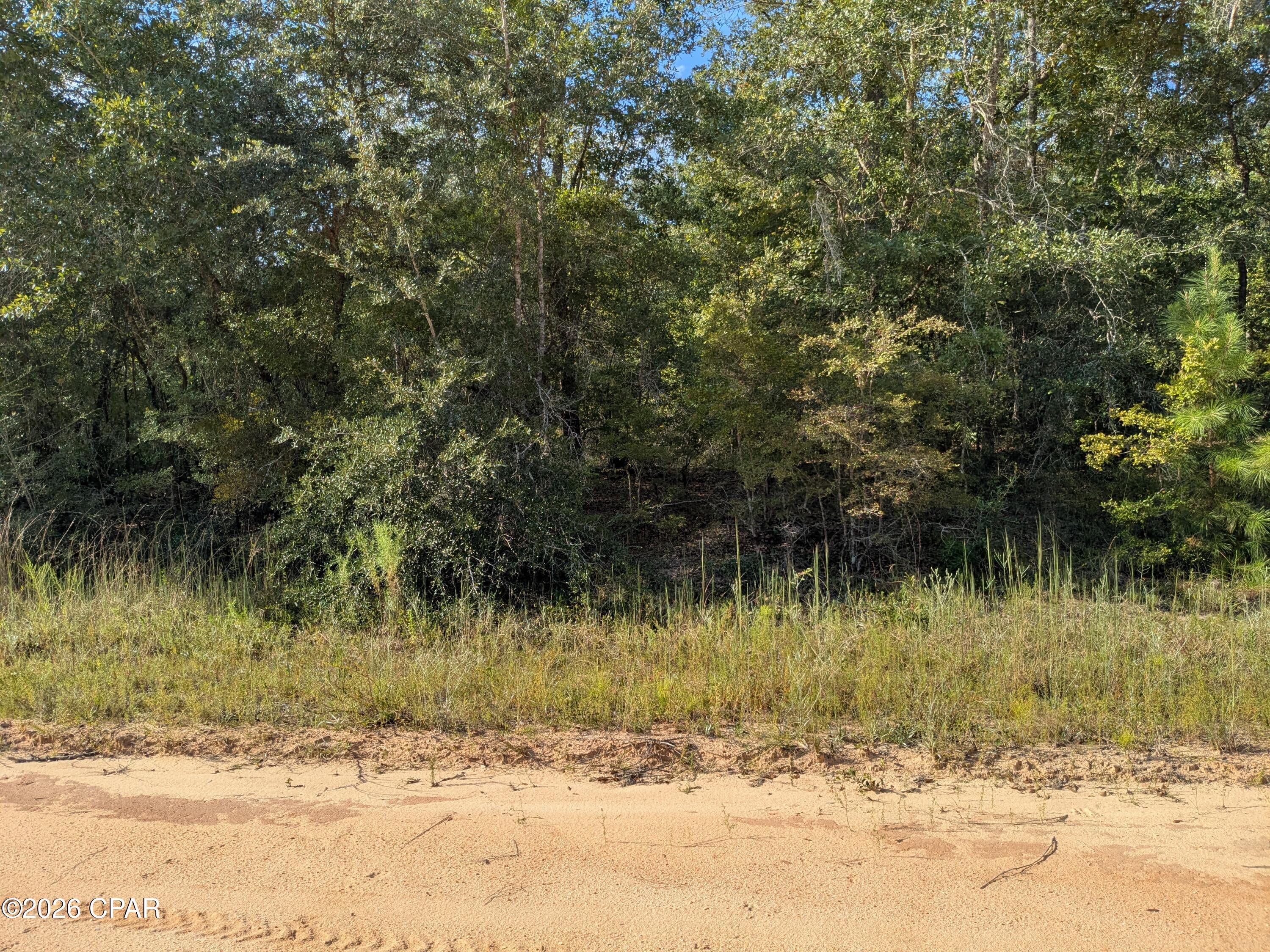 Nice wooded lot on quiet street in Compass Lake Unit 3. Lot has lots of trees including oak
and pines. Great place to build a home or put your manufactured home on.