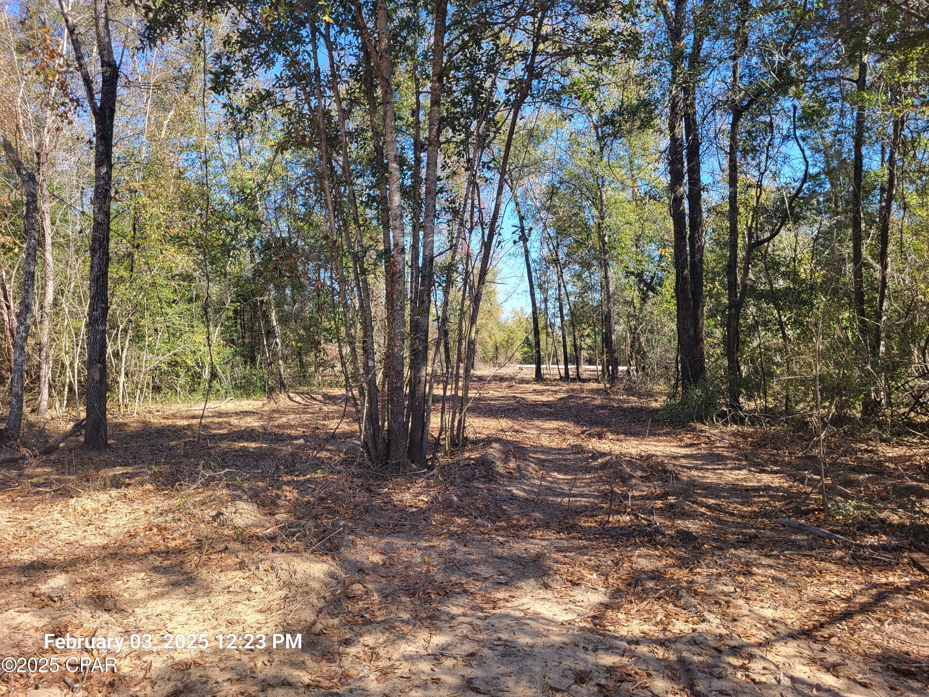 3 Acres of great land to build your dream home! The Seller has already cleared enough to start your home and still have privacy! Manufactured Homes Allowed. This lot has already been surveyed. NO HOA! More lots are available if you would like more land. All lots are on County Maintained Roads with easy access. Homes must be at least 960 Sq Ft. heated and cooled. NO Flood Zone. You can have as much privacy as you want. Ask your Realtor to send you the Information about White Pond Plantation. You will love this beautiful land!