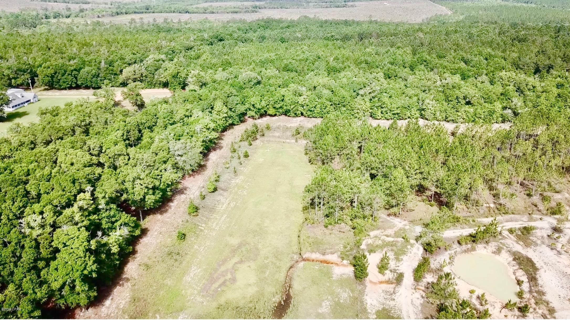 .75 acre parcel cut from a 40 acre  property