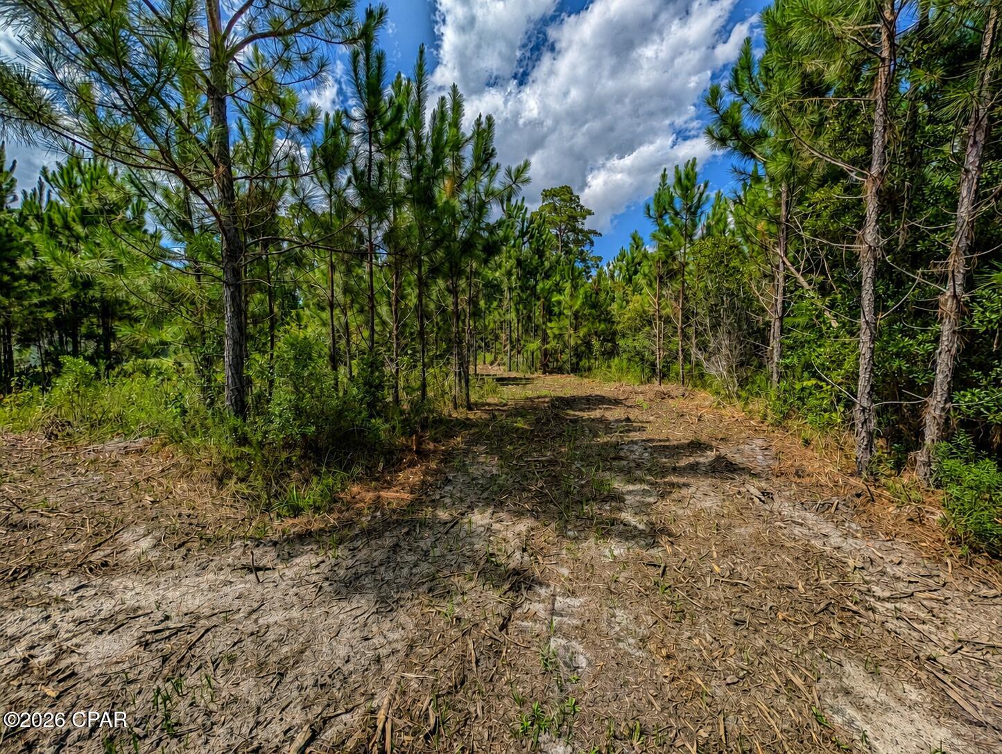 Mallet Bayou - Land