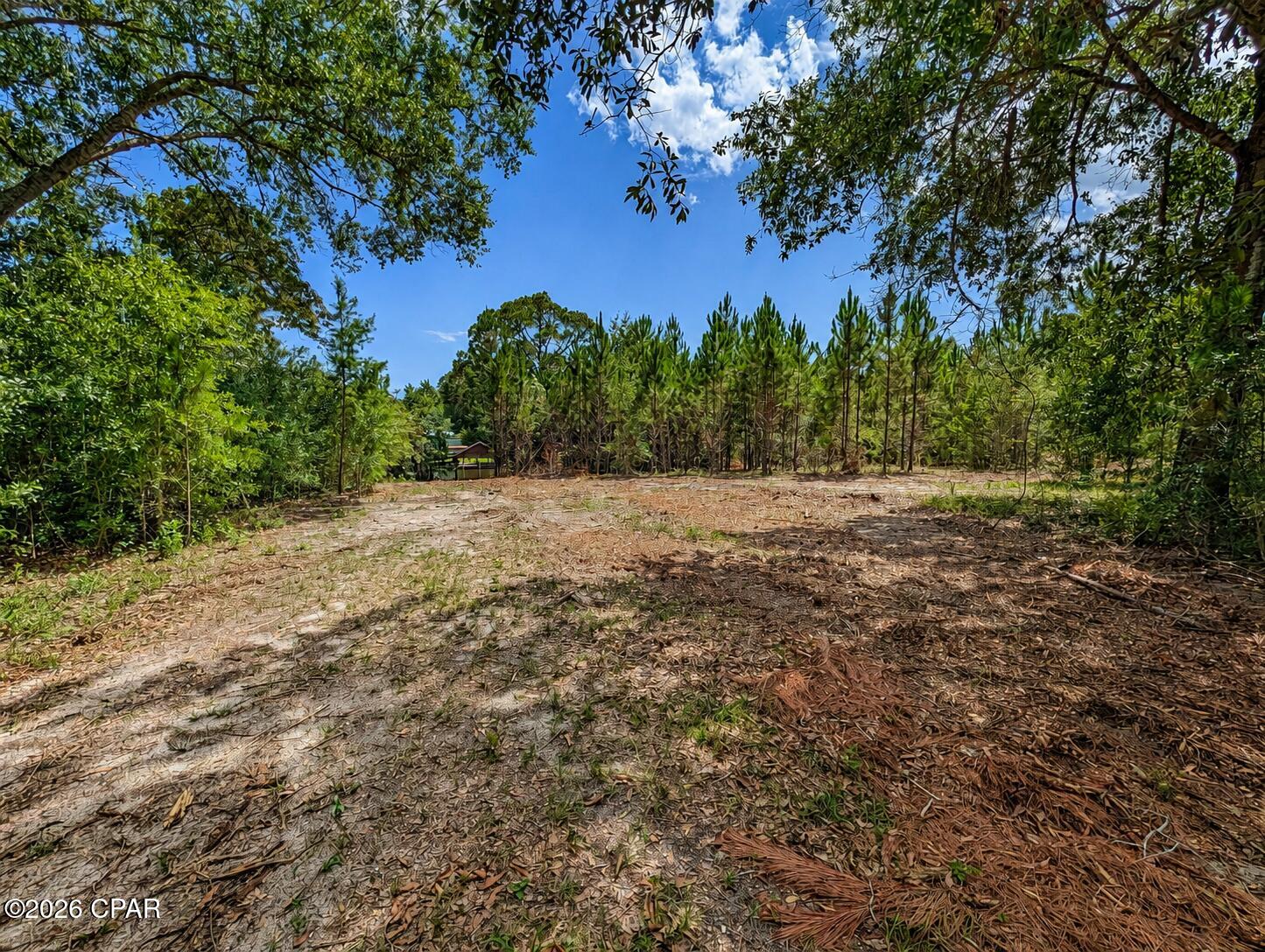 Mallet Bayou - Land