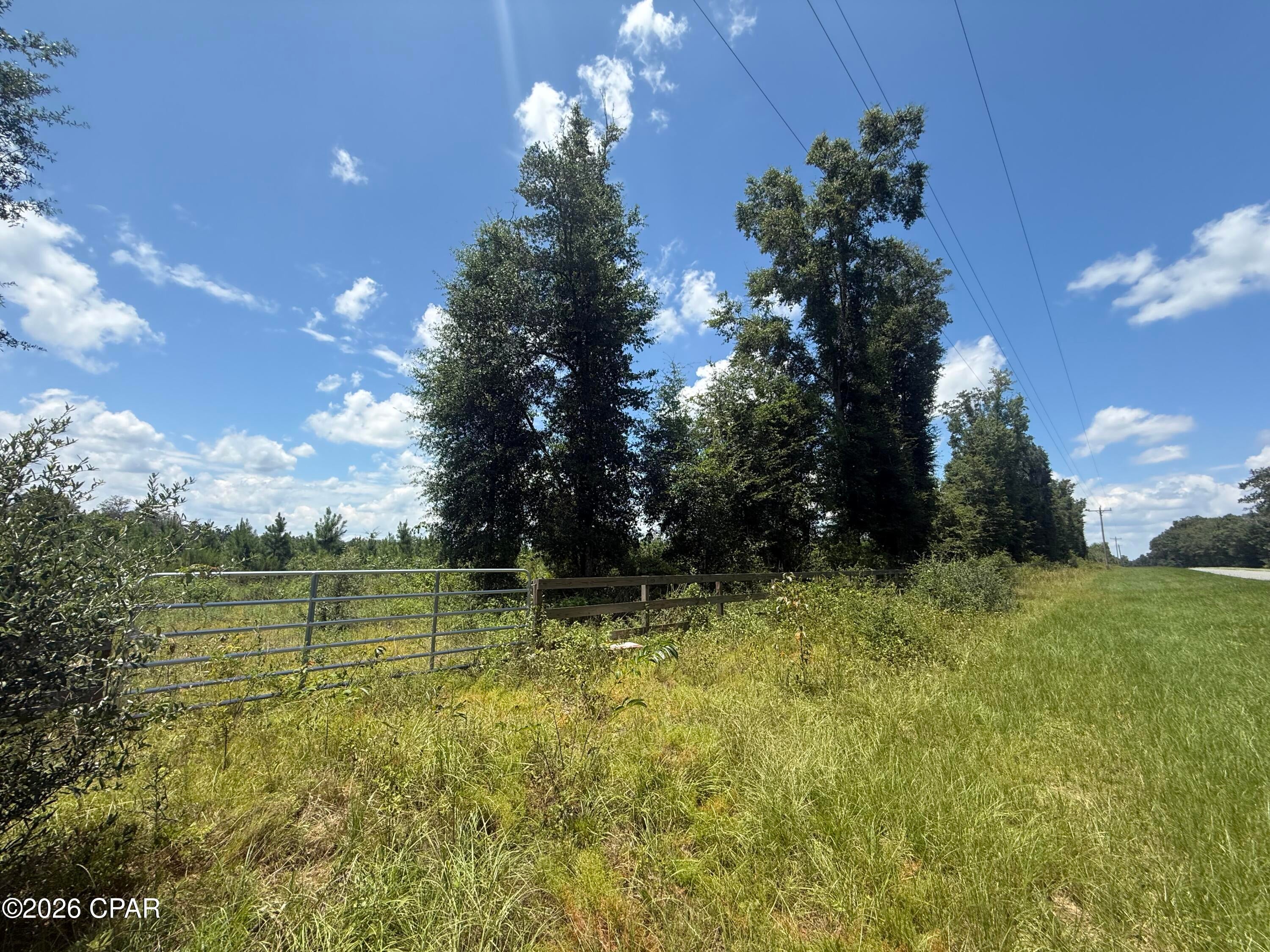 Nearly 12 acres on PAVED ROAD frontage on Peanut Road conveniently located between Cottondale and Graceville Florida. 
This 11.88+/- is an ideal size to build your dream home and have animals or your own FARM. 
No restrictions against Mobile Homes or Site built homes gives you the flexibilty to make your own dreams come to life. 
The property is fenced along the front and gated providing some privacy and security.
You'll enjoy that much of the property is planted in pine trees to reduce your overall maintenance and provide future income potential; a small area has already been cleared for a homesite w/ a trail back to it.  ALL THE LAND IS HIGH AND DRY: no flood property shown according to property appraiser.