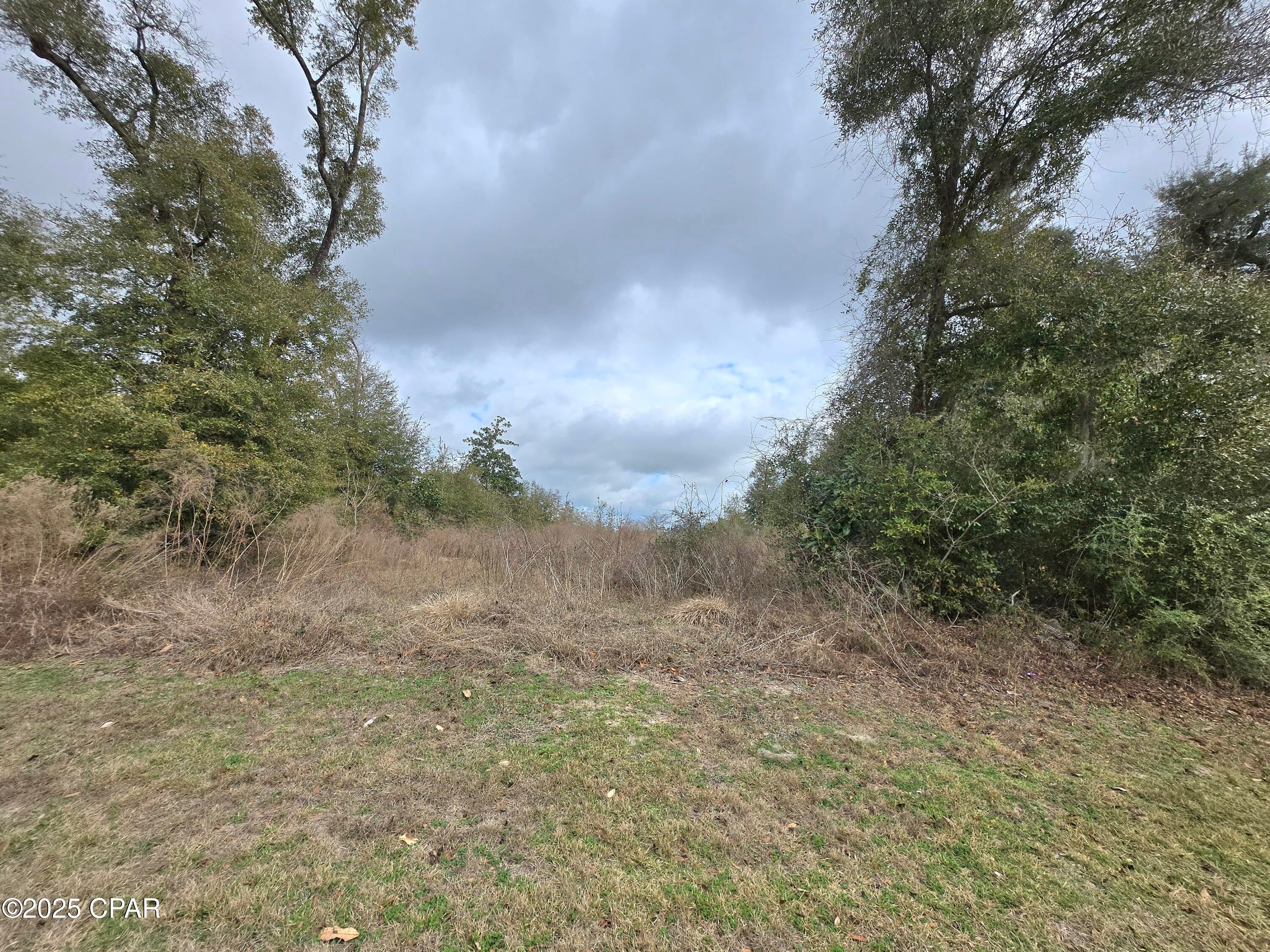 Cedar Creek Ph II - Land