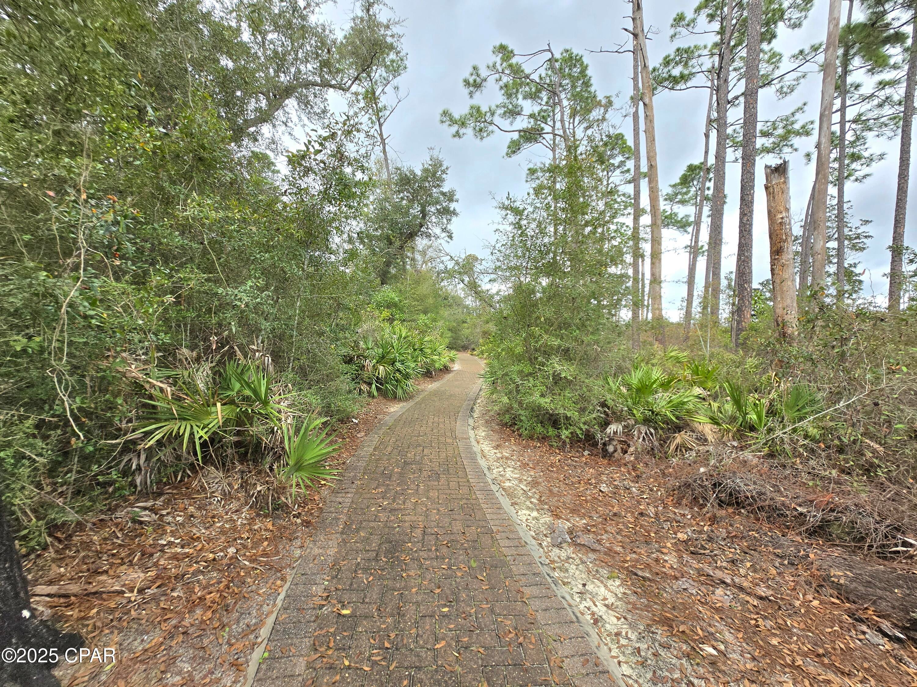 Cedar Creek Ph II - Land