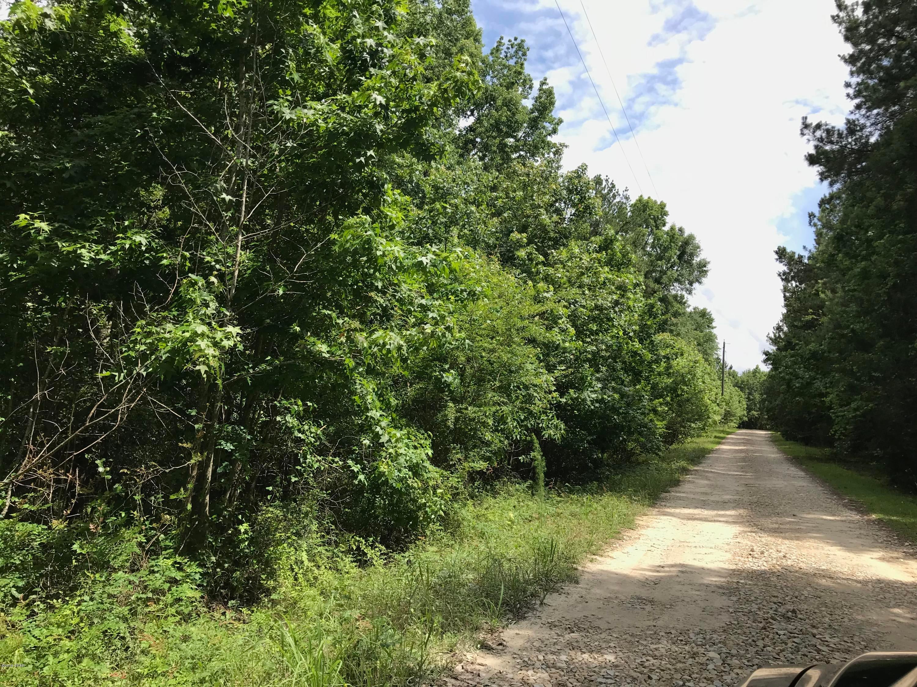 Whitetail Estates - Land