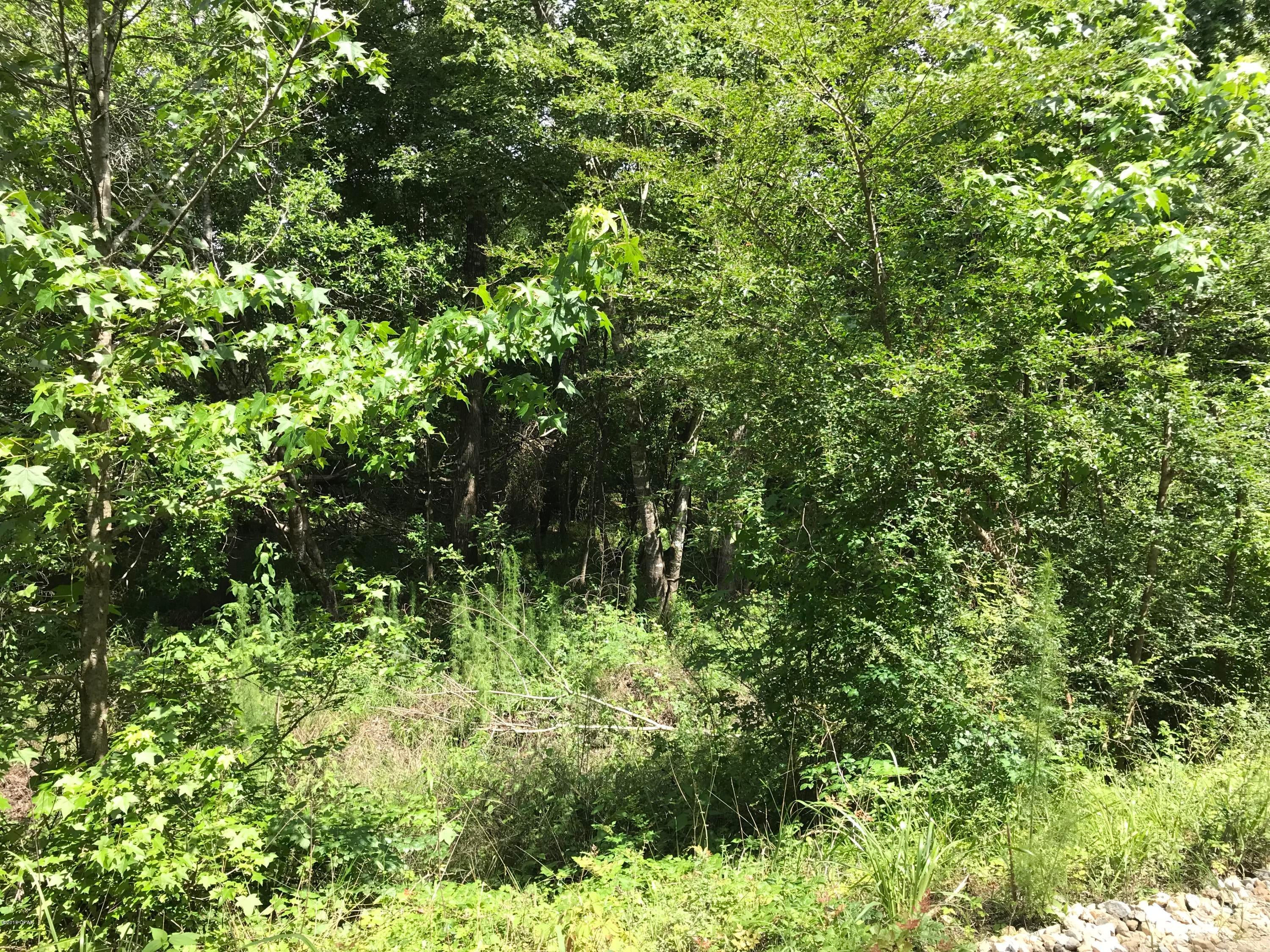Whitetail Estates - Land