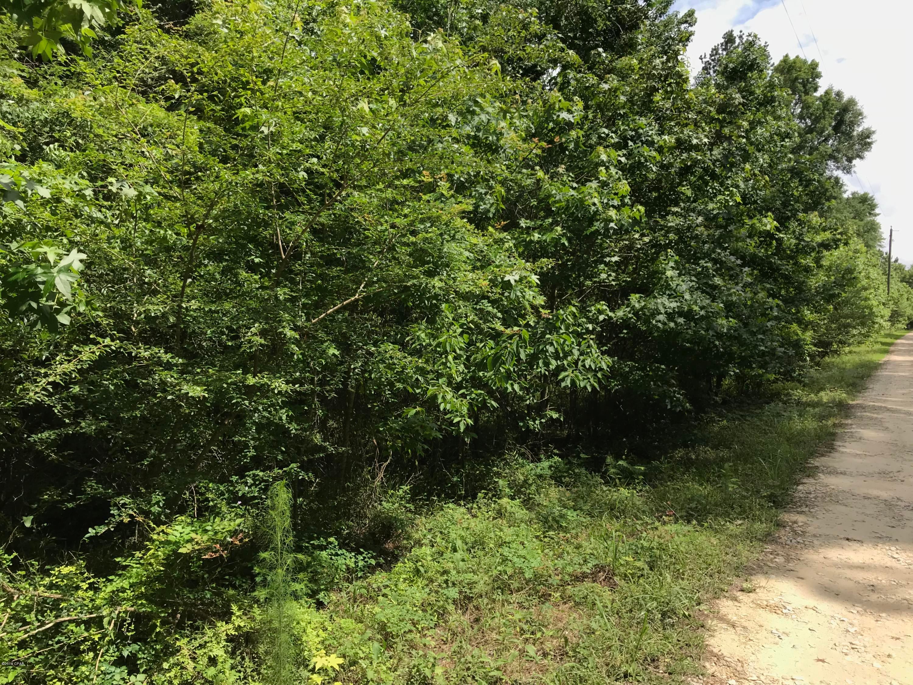 REDUCED FOR QUICK SALE. BUILDING LOTS IN MARIANNA.   PRICE IS FIRM.  2 building lots(Lots # 2 & 3) out of Parent Parcel equaling approx. 11.0 acres MOL in the Whitetail Estates Subdivision.  Wooded acreage very near the I-10 exchange ramps for the Marianna exit. Located behind the commercial motel accommodations & restaurants.  Seller does not want to sell separately.  Would need to sell both lots at one time. Great investment opportunity.