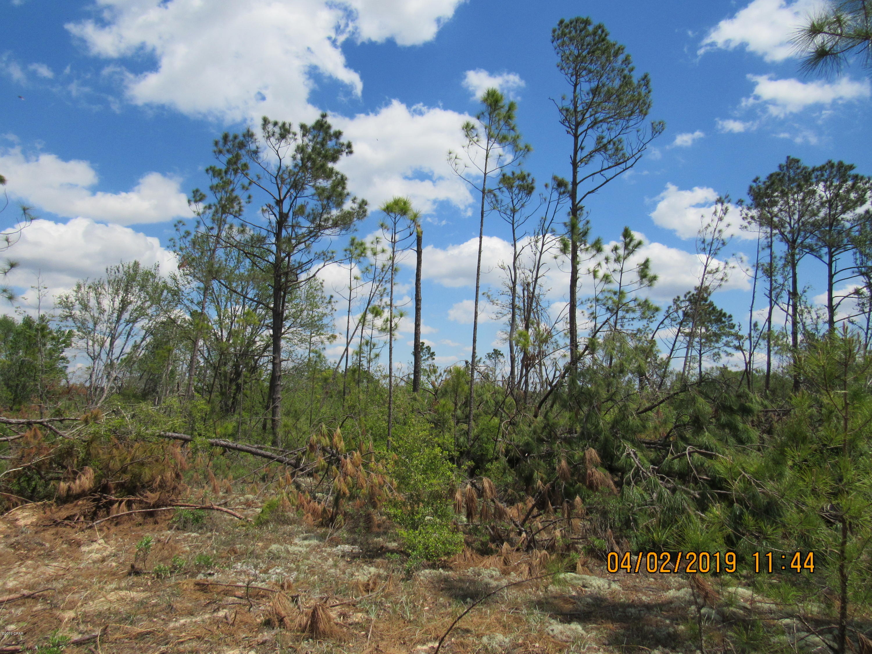 Beautiful parcel  with great views. Lots of possibilities with this Gem. Private and Quiet. This parcel is high & dry and ready for your next adventure. Build now or hold it as an investment, either way it is priced to sell. Many popular places within an hour such as Marianna Caverns, Pitts Springs, Panama City Beach, Famous Pier Park Shopping, Tyndall Air Force Base, and some of the best Fishing in Northwest Florida. Many places to Kayak, Camp, Swim, Hunt, and just enjoy the Great Outdoors. Own a piece of Florida by calling today.