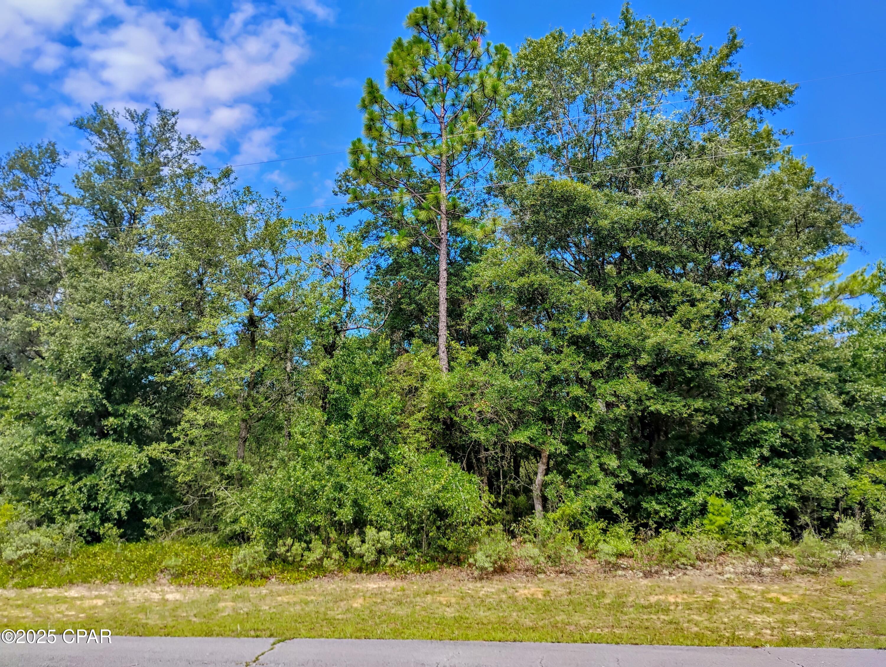 Vacant Lot in Sunny Hills - Build Your Dream Home Today! Take advantage of this prime opportunity to own a vacant building lot in the beautiful community of Sunny Hills! Located in a peaceful, up-and-coming area between Chipley and Panama City, this lot is ideal for building your forever home or investment property. Community Features: Access to multiple lakes, ponds, and nature trails Sunny Hills Golf Club and Boat Lake Swim Park just minutes away Paved roads and nearby utilities (verify availability) No HOA fees (buyer to confirm) Location Highlights: Just 30 minutes from Panama City and Chipley Shopping, restaurants, and healthcare within access via nearby Highway 77 Easy drive to the stunning white-sand beaches of the Gulf Coast Whether you're ready to build now or looking for a smart investment, this lot is a must-see. Don't miss your chance to be part of this growing Florida community!