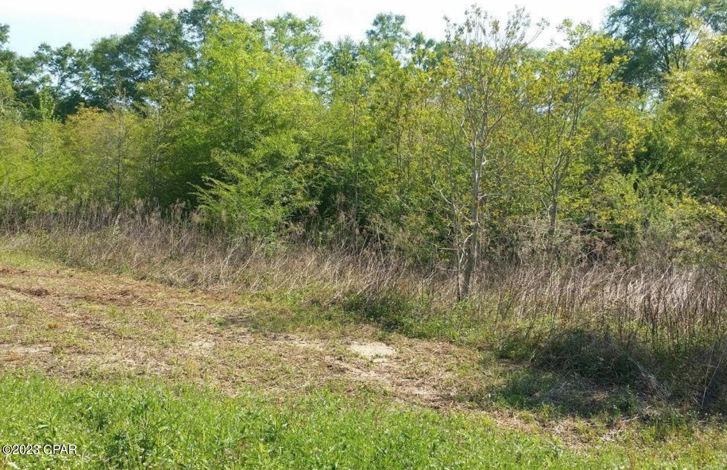 Bohoma Acres - Land
