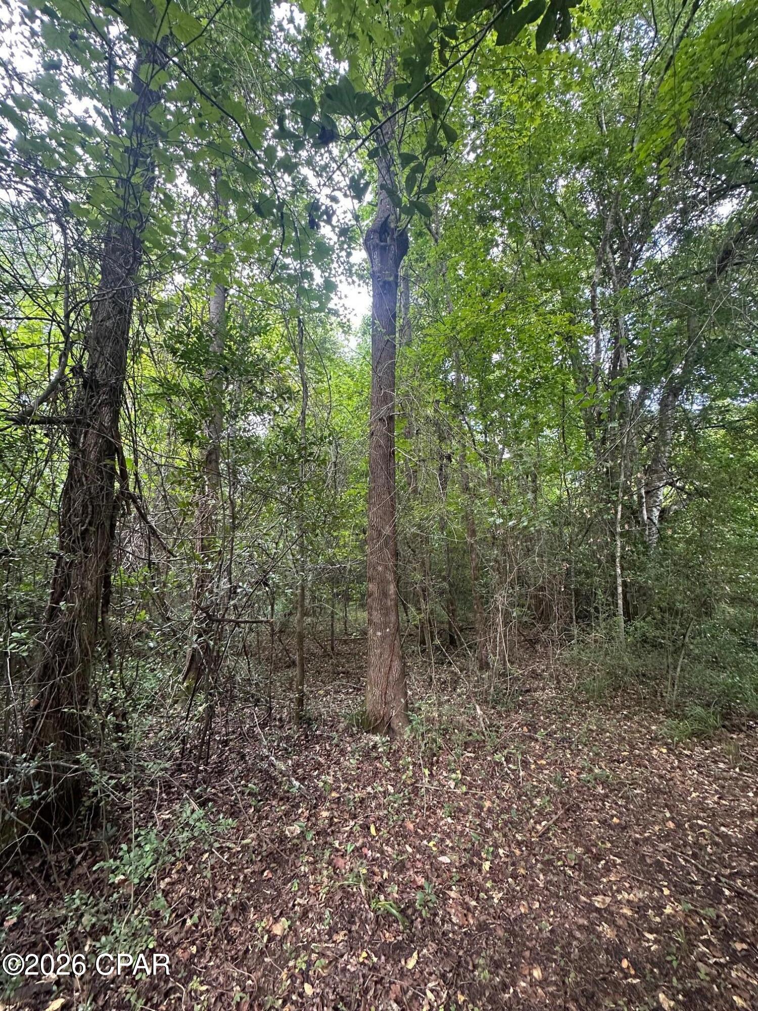 [No Recorded Subdiv] - Land
