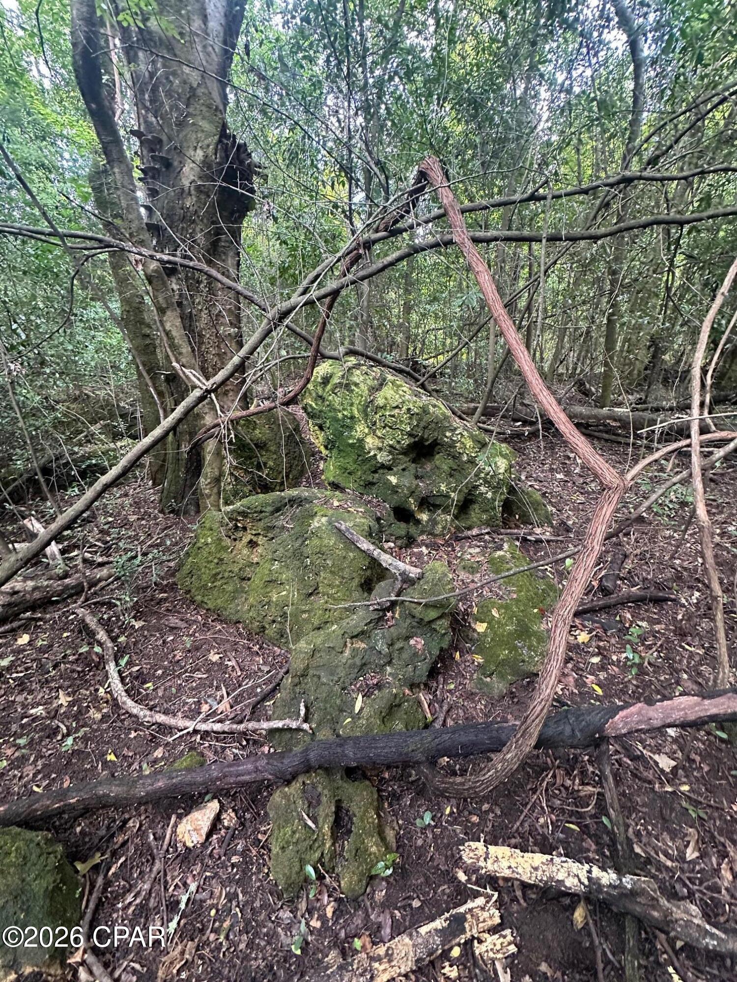 [No Recorded Subdiv] - Land