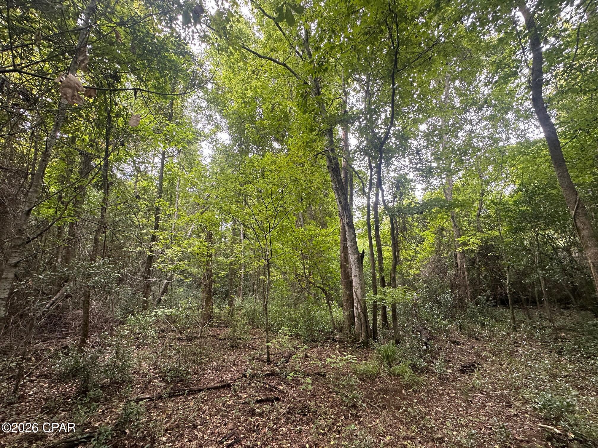 [No Recorded Subdiv] - Land