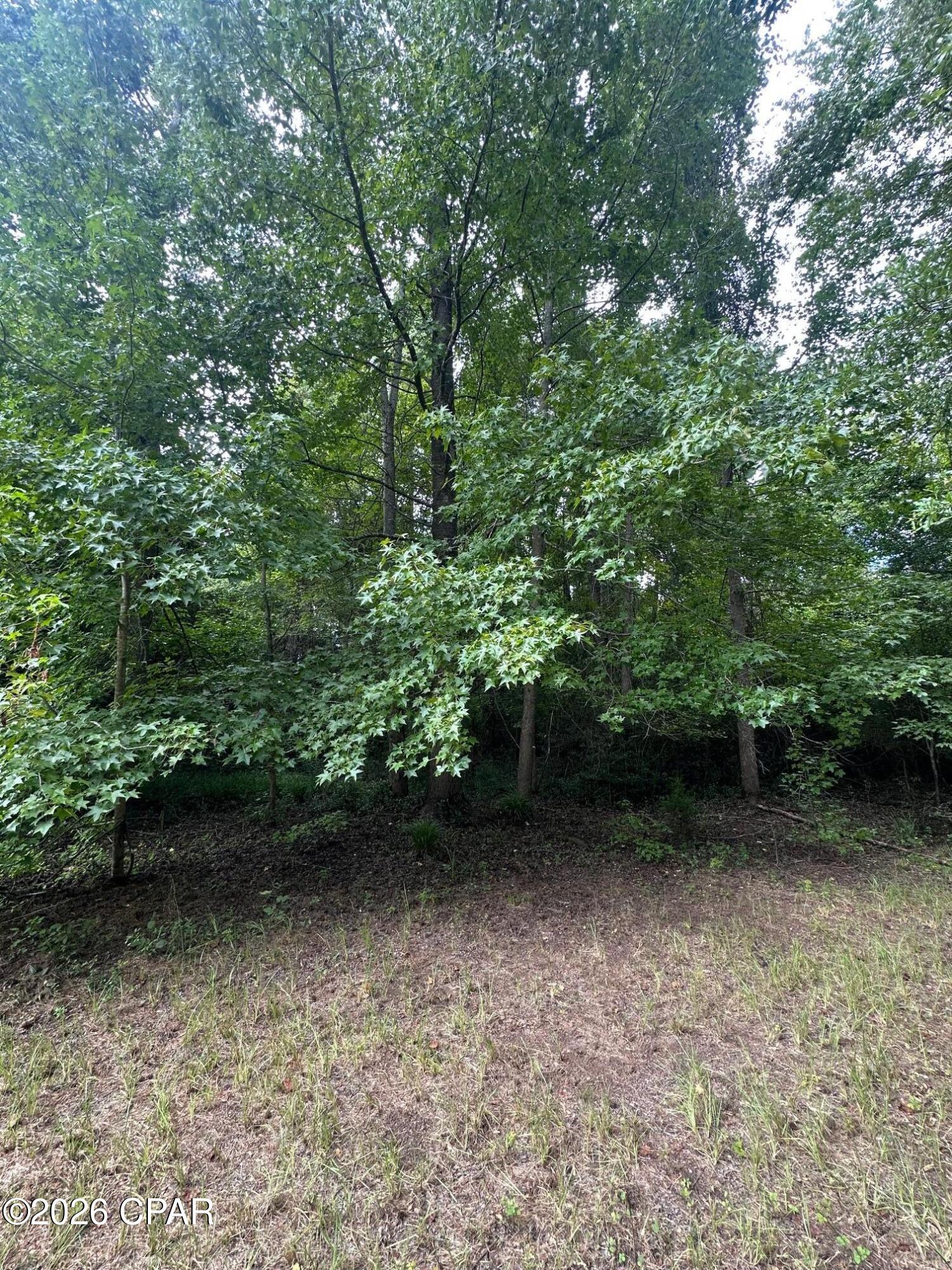 [No Recorded Subdiv] - Land