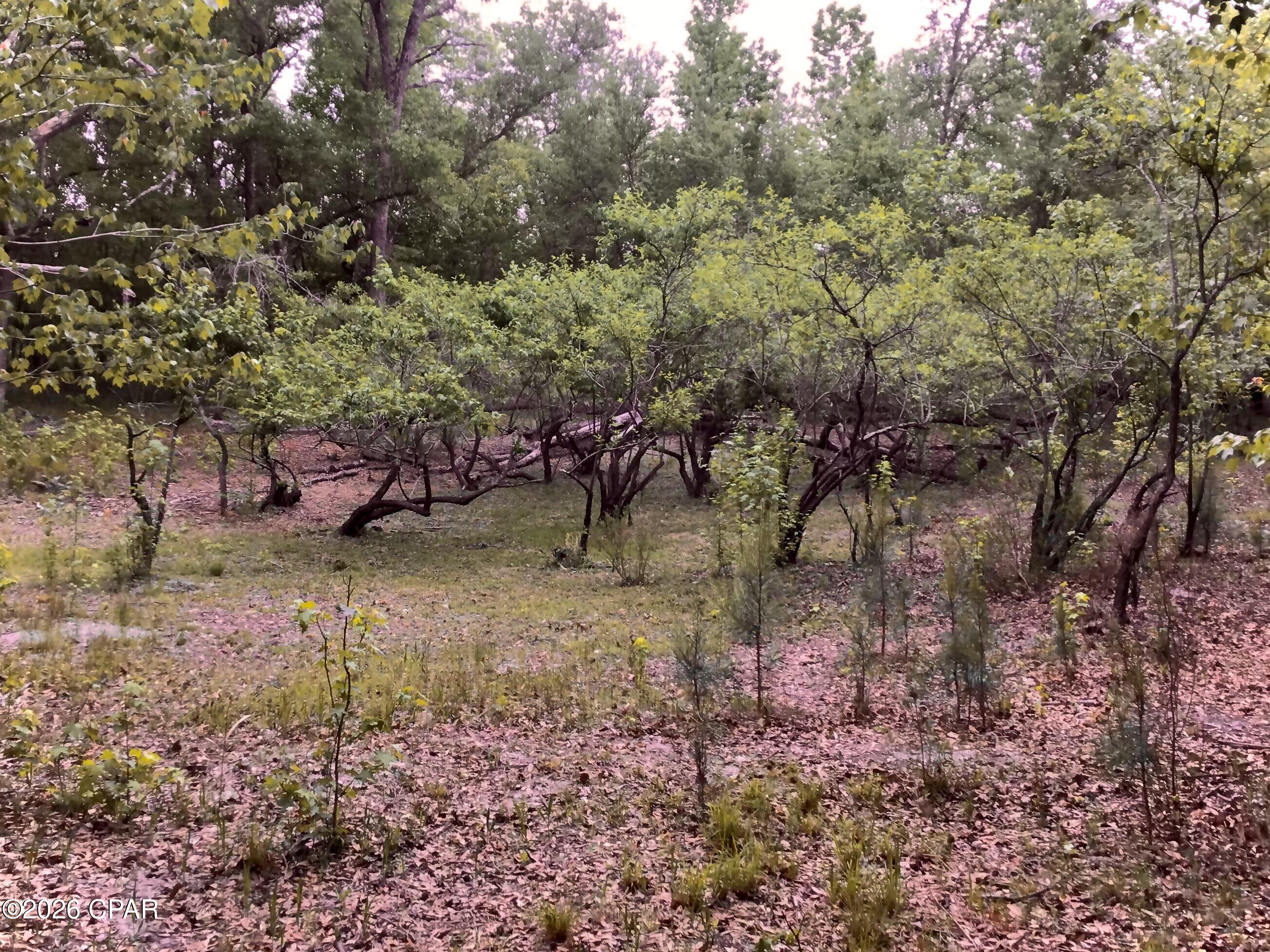 [No Recorded Subdiv] - Land